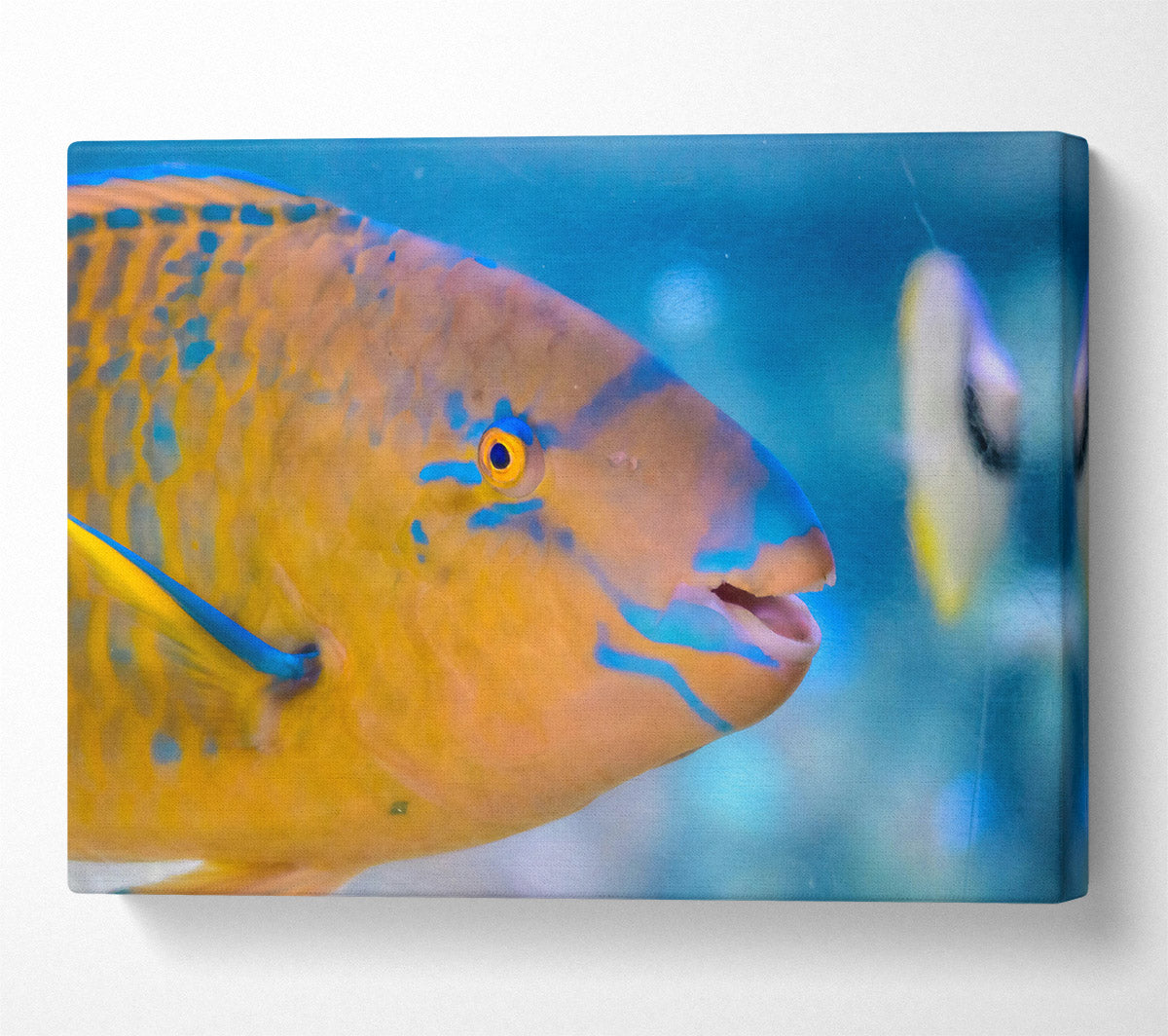 Golden Blue Blends Canvas Wall Art
