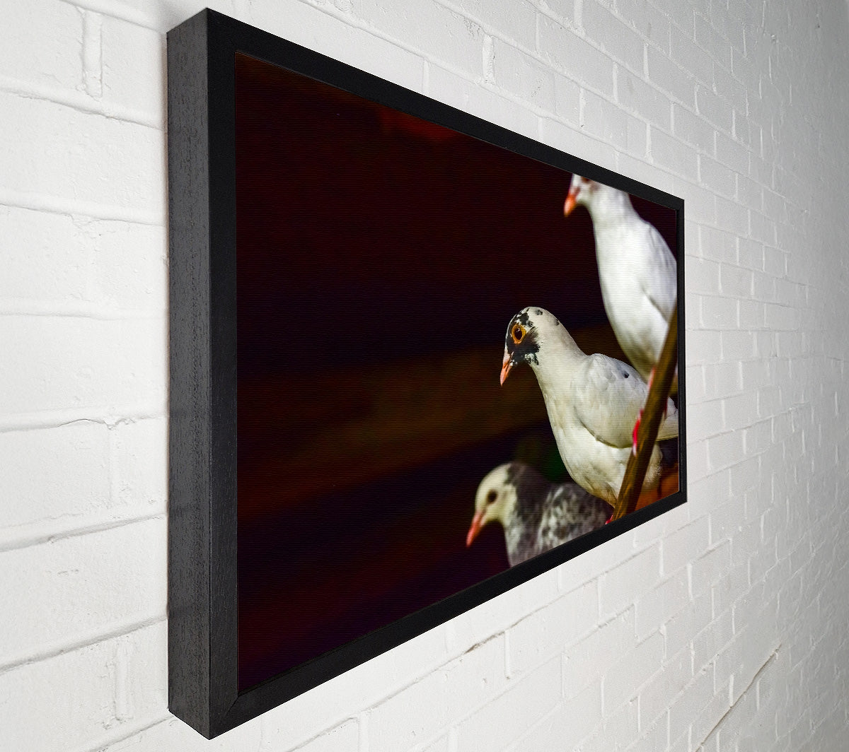White Bird'S Perspective Canvas Wall Art