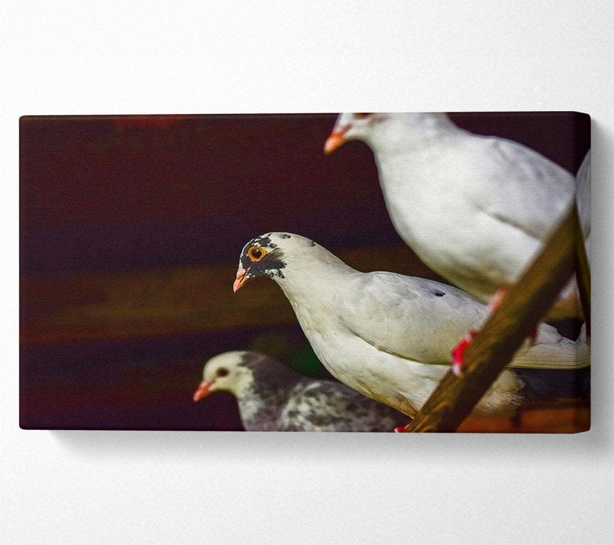 White Bird'S Perspective Canvas Wall Art