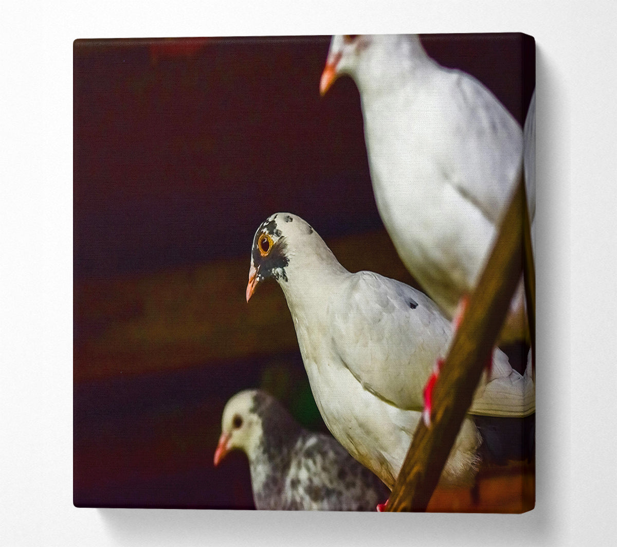 White Bird'S Perspective Canvas Wall Art