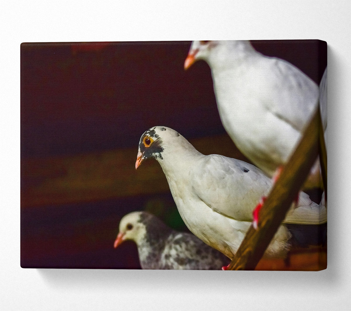 White Bird'S Perspective Canvas Wall Art