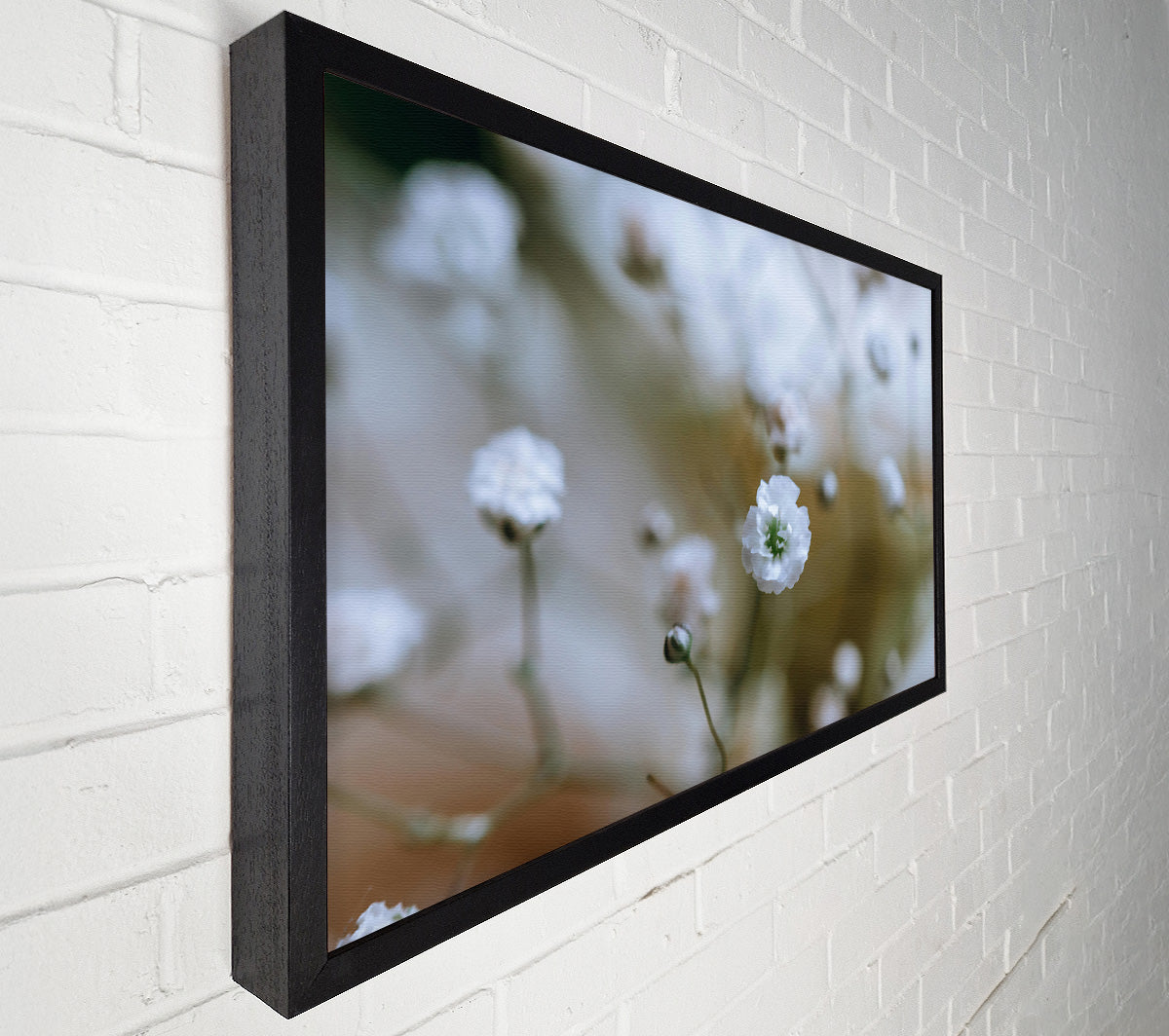 White Flower Focus Canvas Wall Art