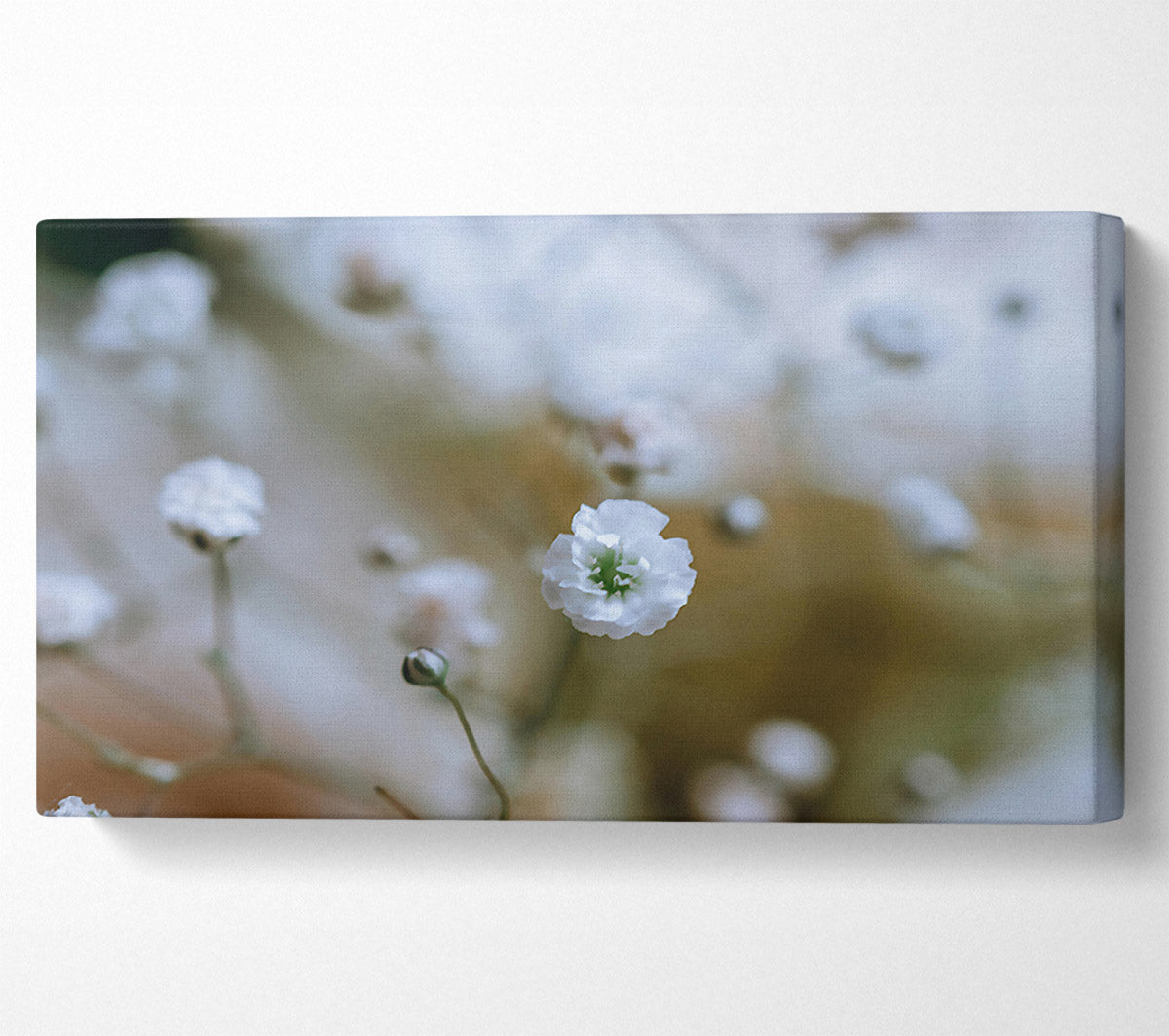 White Flower Focus Canvas Wall Art