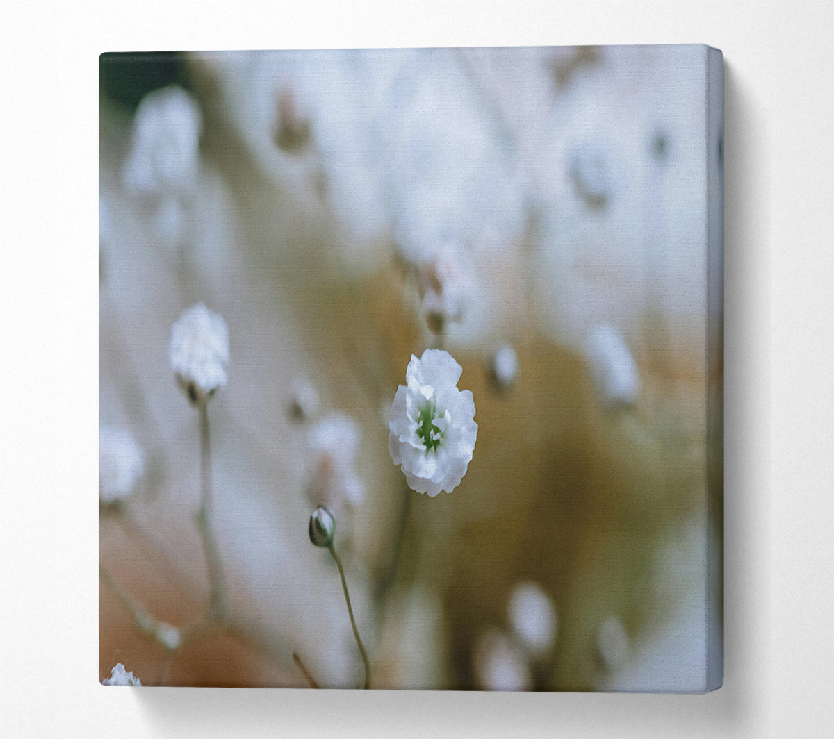White Flower Focus Canvas Wall Art