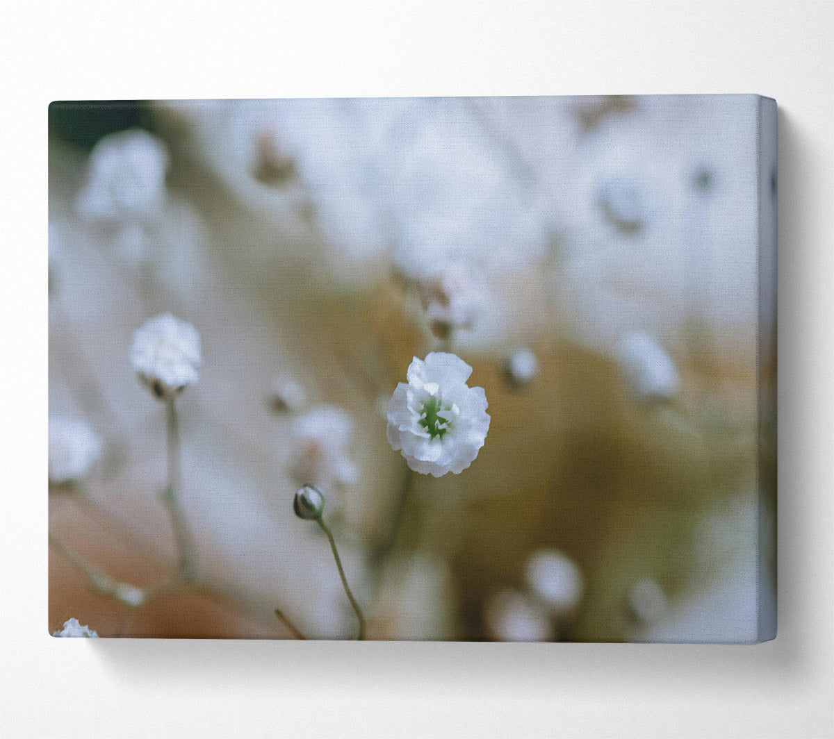 White Flower Focus Canvas Wall Art