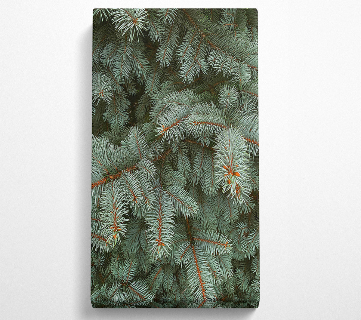 Silver Pine Needles Canvas Wall Art