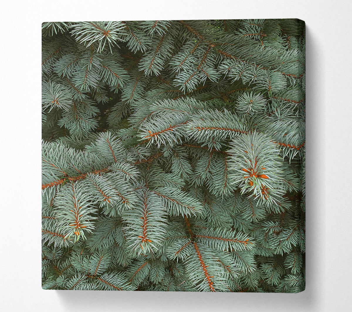 Silver Pine Needles Canvas Wall Art