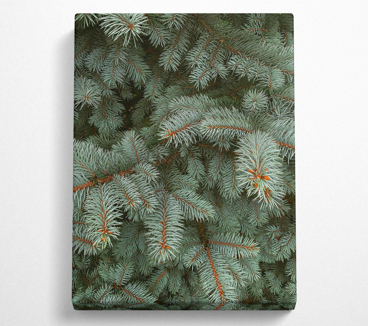 Silver Pine Needles Canvas Wall Art