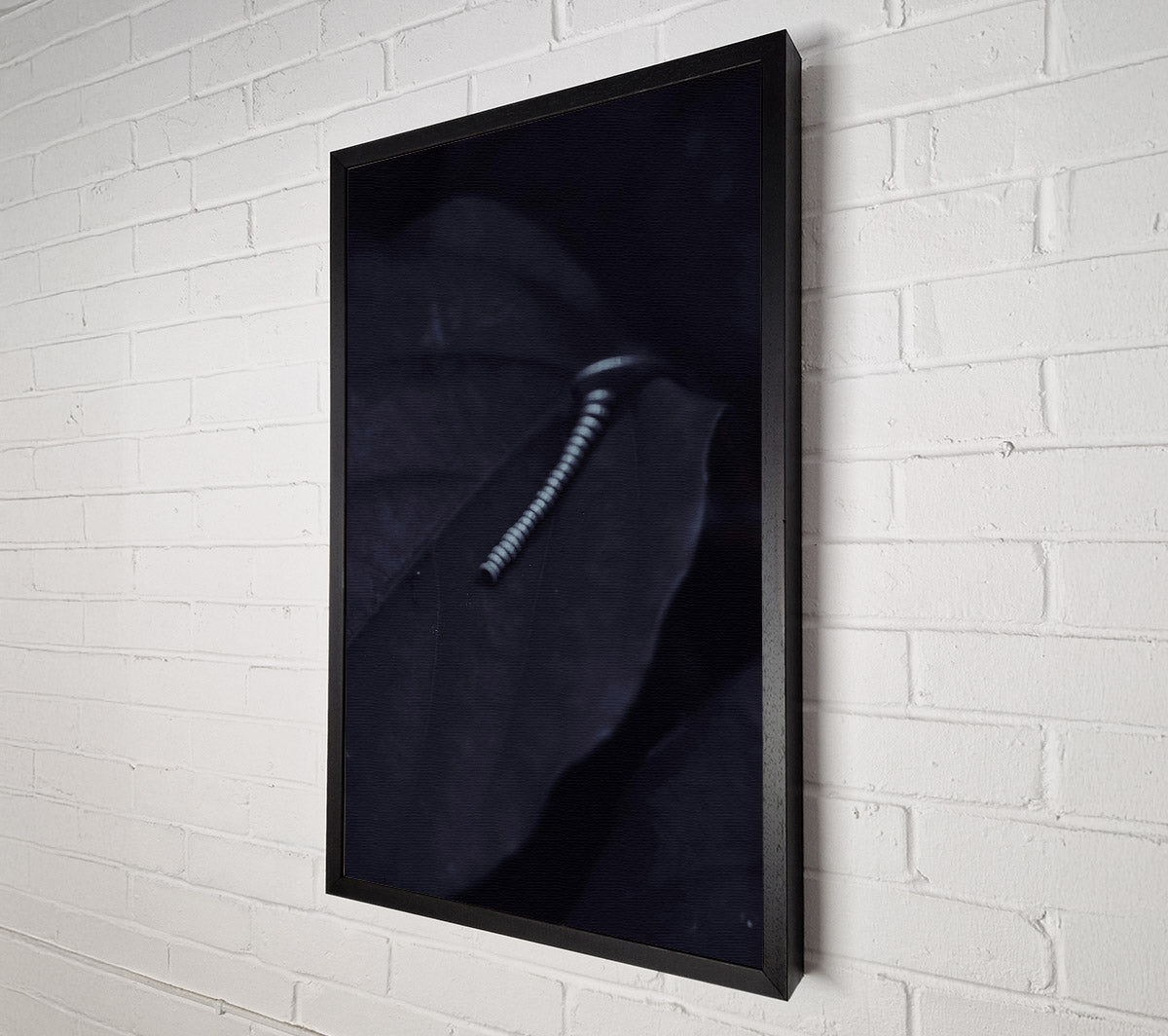 Silver On Black Leaf. Canvas Wall Art