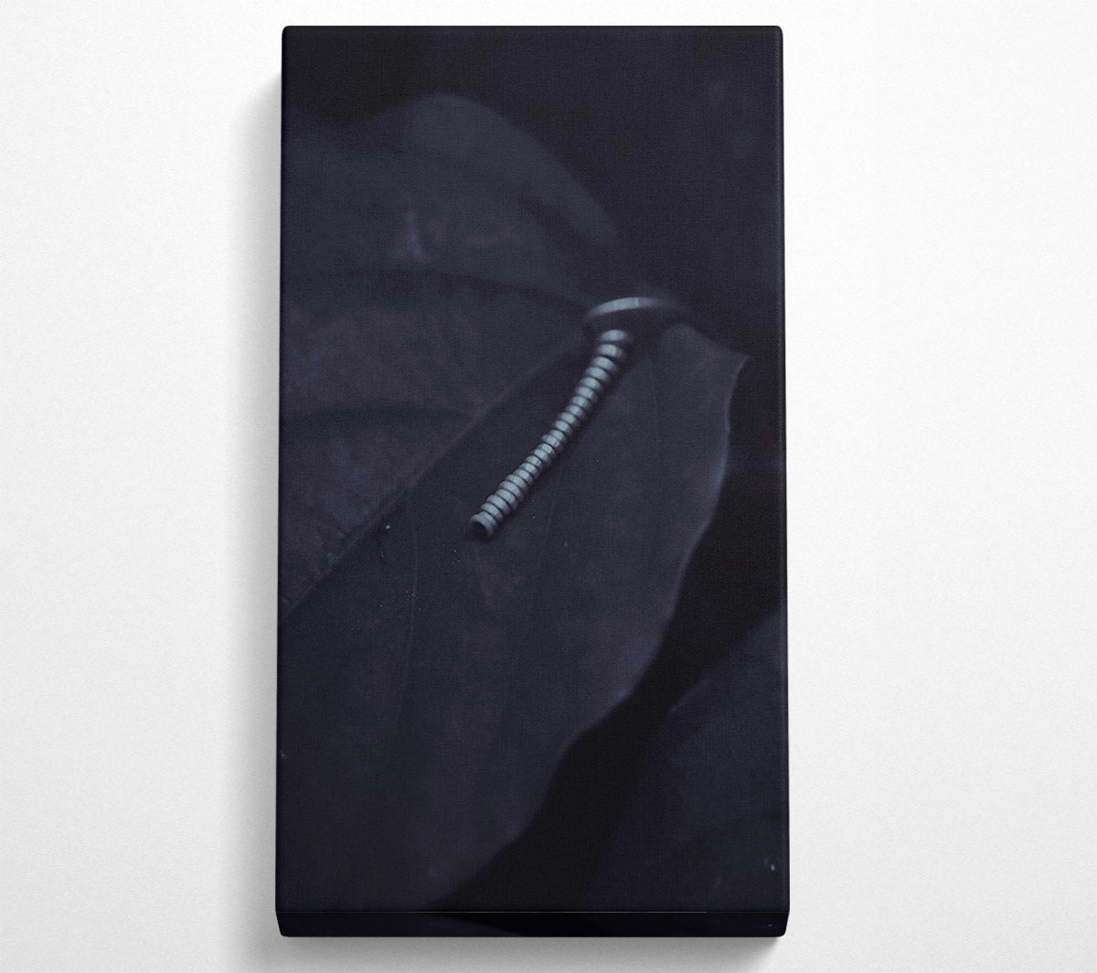 Silver On Black Leaf. Canvas Wall Art