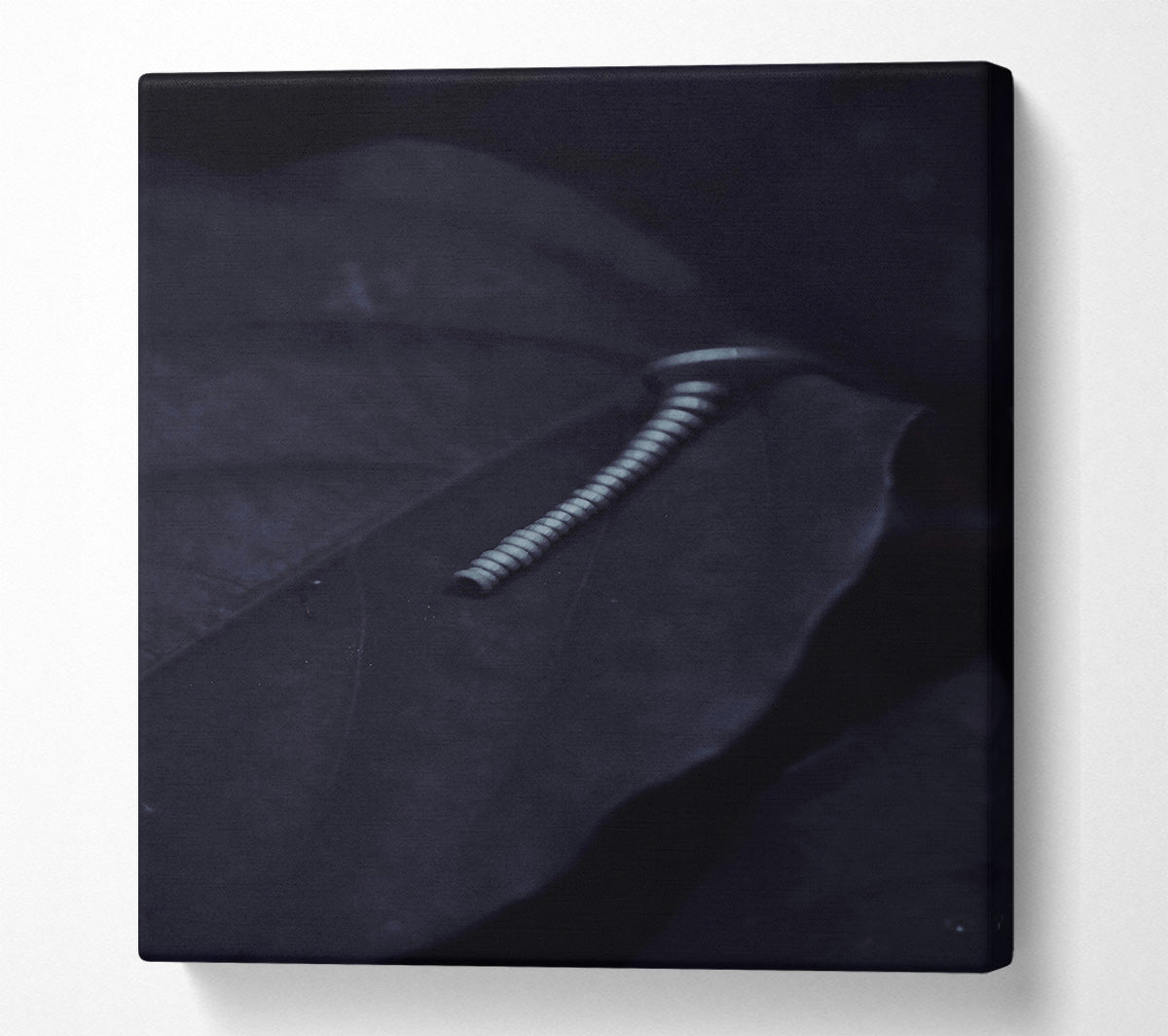 Silver On Black Leaf. Canvas Wall Art
