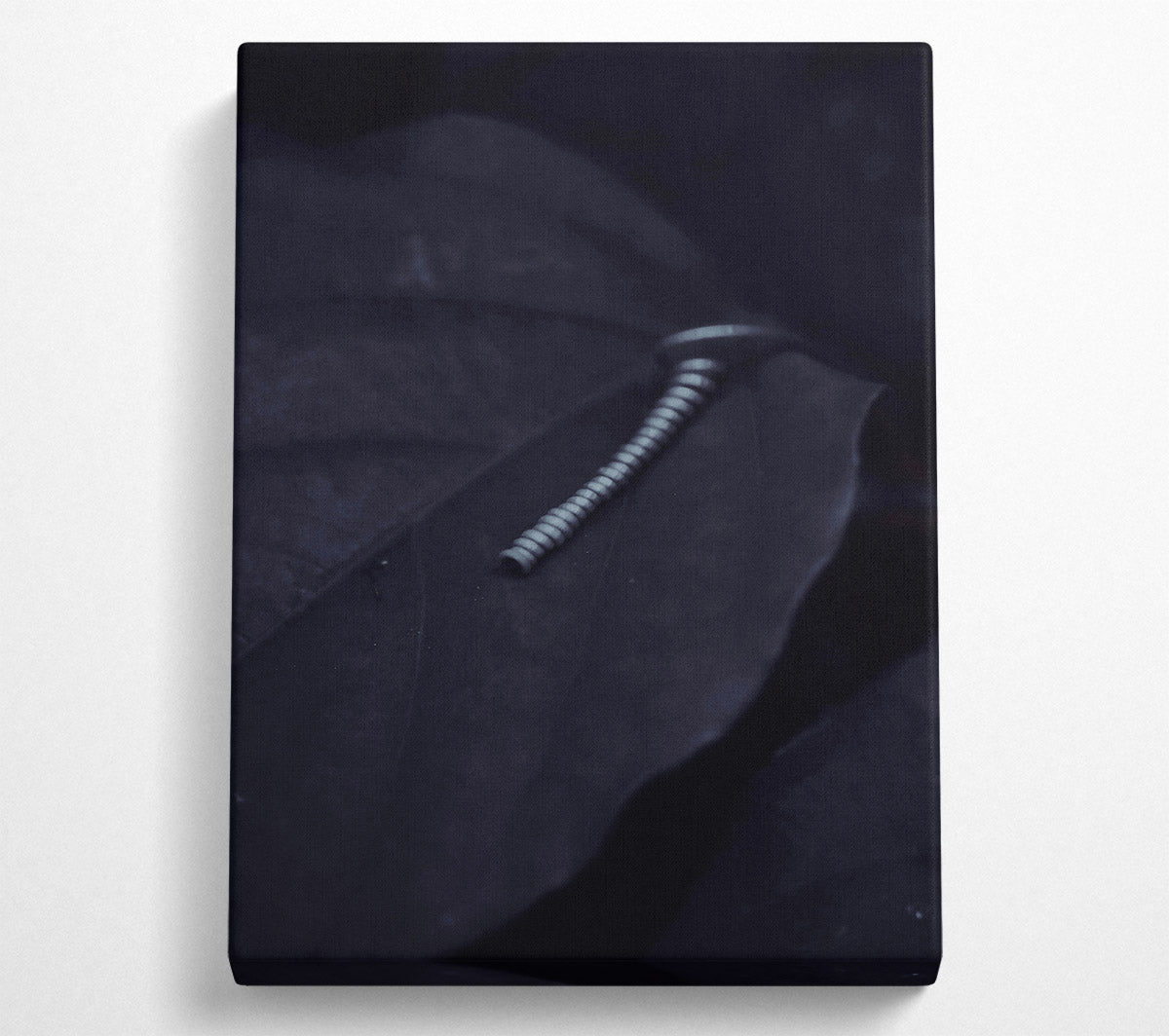Silver On Black Leaf. Canvas Wall Art