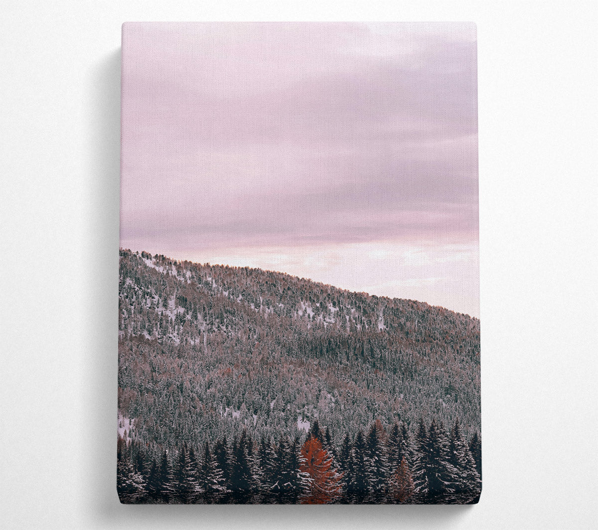 Pink Sky Forest Canvas Wall Art