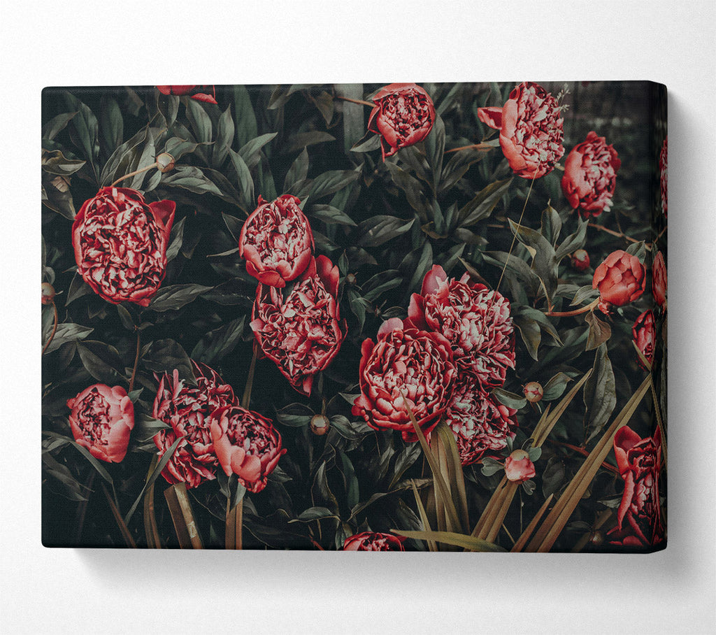 Crimson Garden Bloom Canvas Wall Art