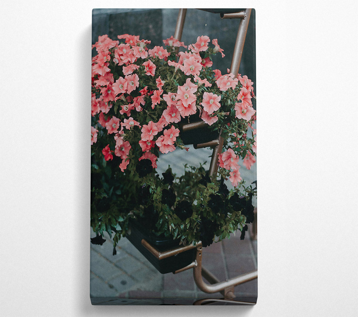 Pink Petunias And Rust Canvas Print