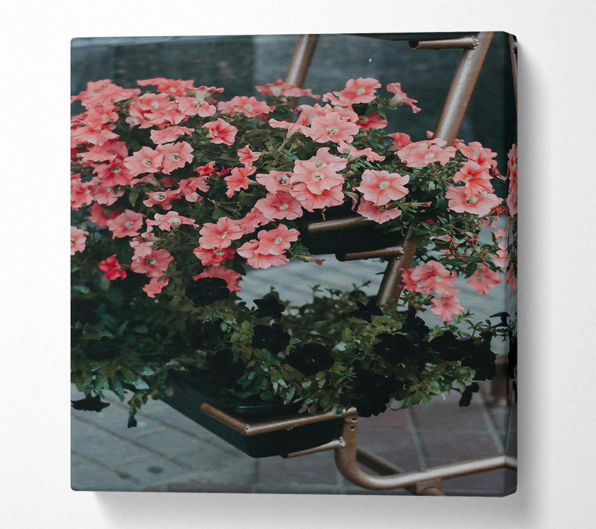 Pink Petunias And Rust Canvas Print