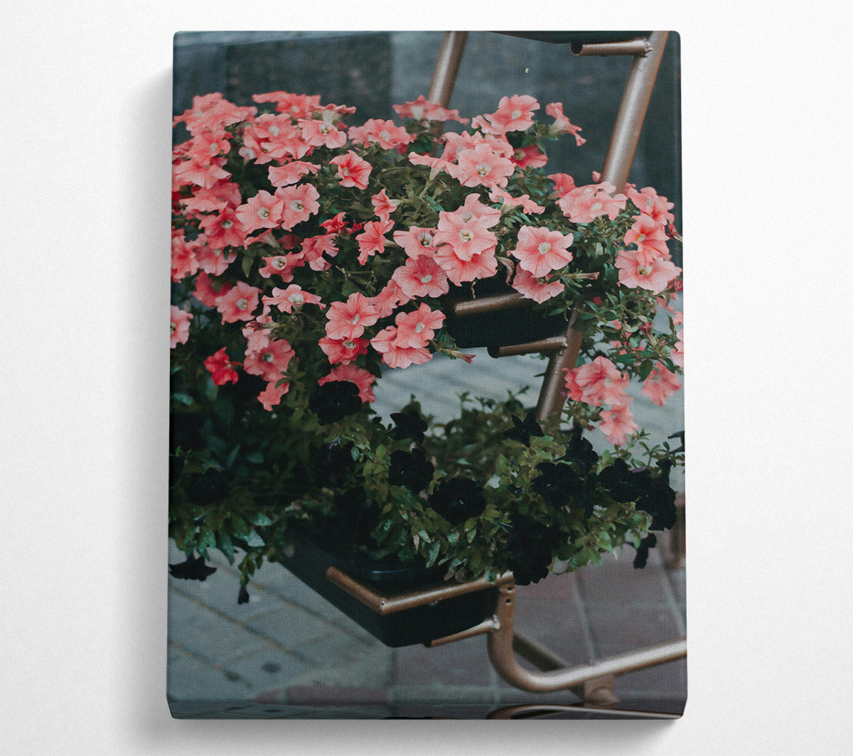 Pink Petunias And Rust Canvas Print