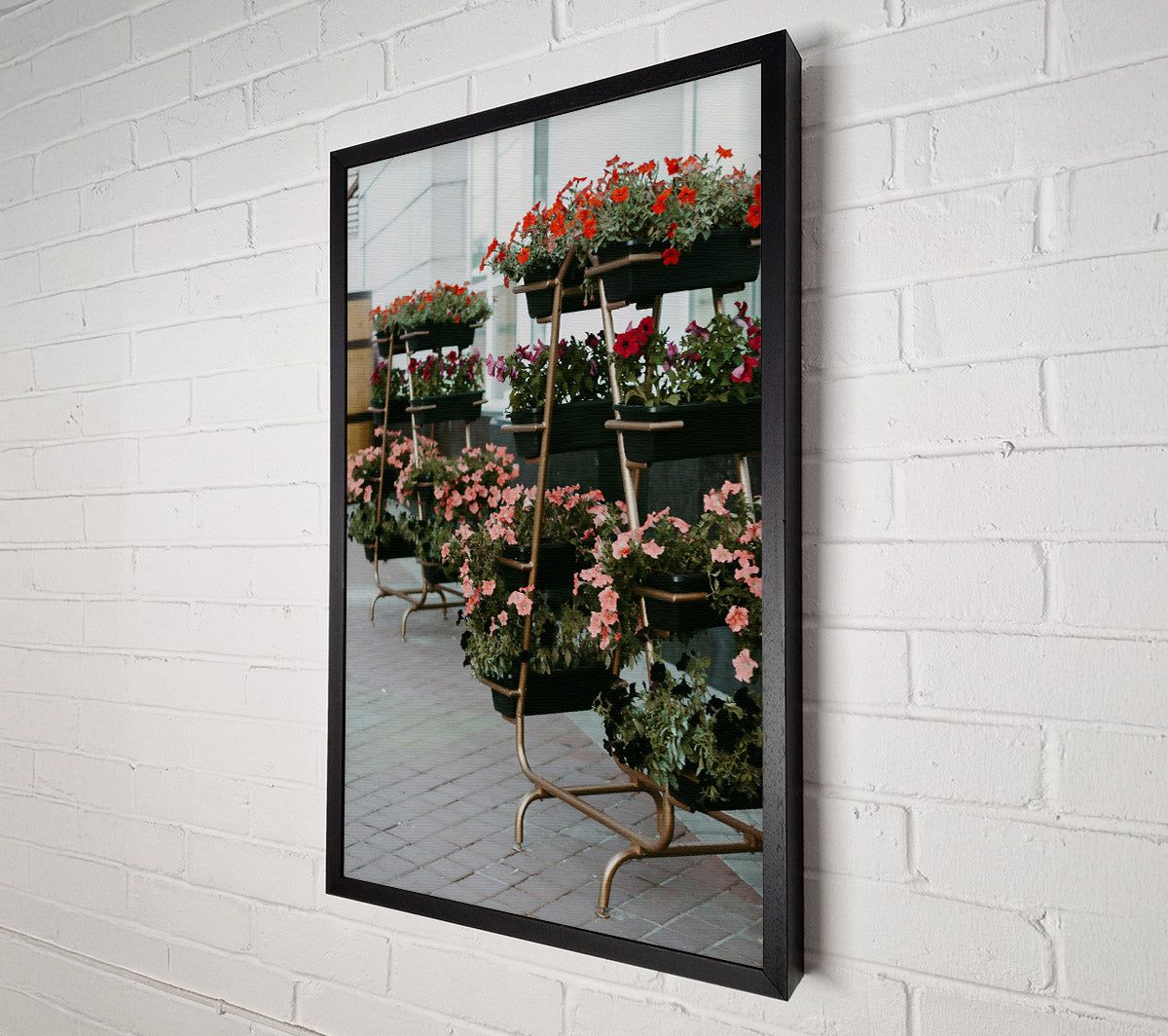 Pink Urban Blooms Canvas Wall Art