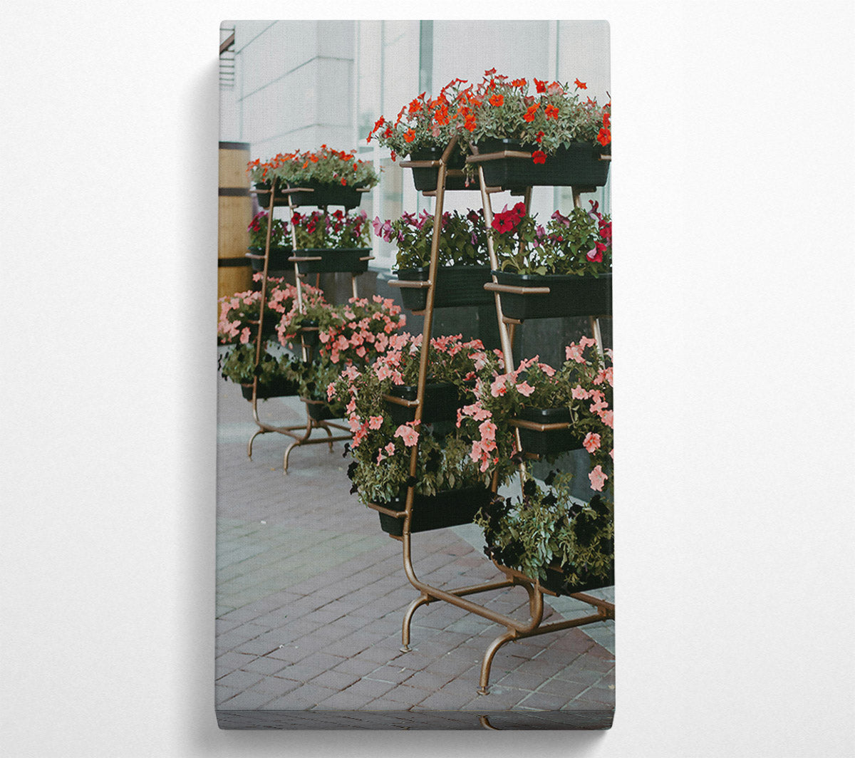 Pink Urban Blooms Canvas Wall Art
