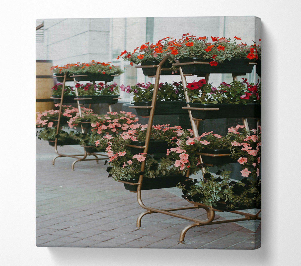 Pink Urban Blooms Canvas Wall Art