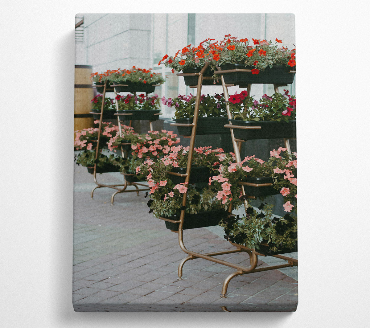 Pink Urban Blooms Canvas Wall Art