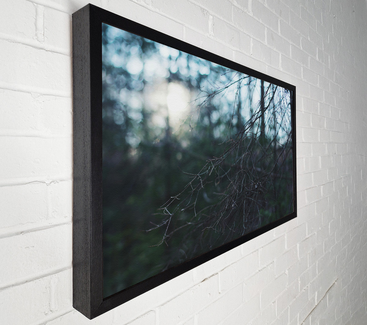 Blue Forest Light Canvas Print