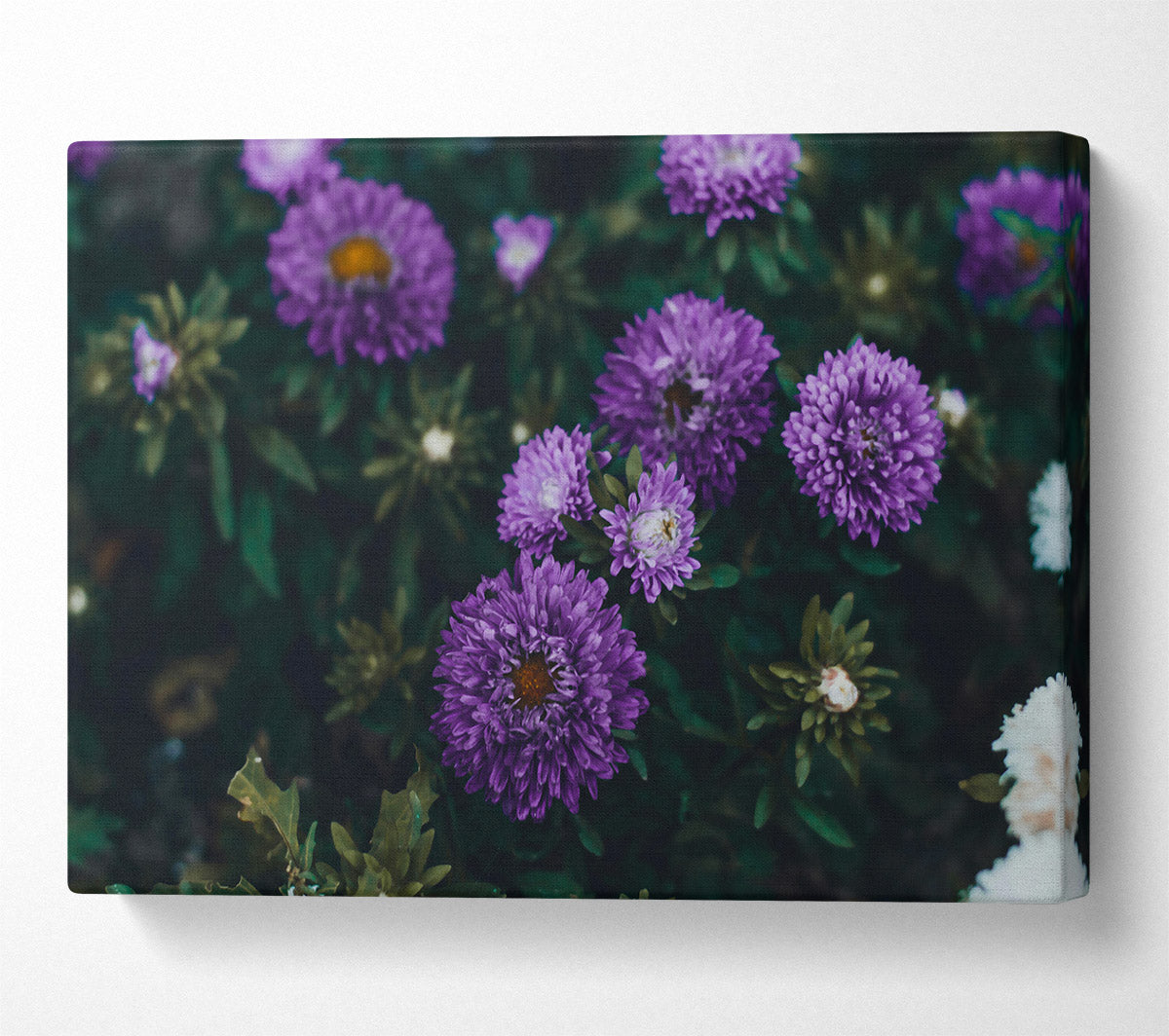 Purple Garden Bloom Canvas Print