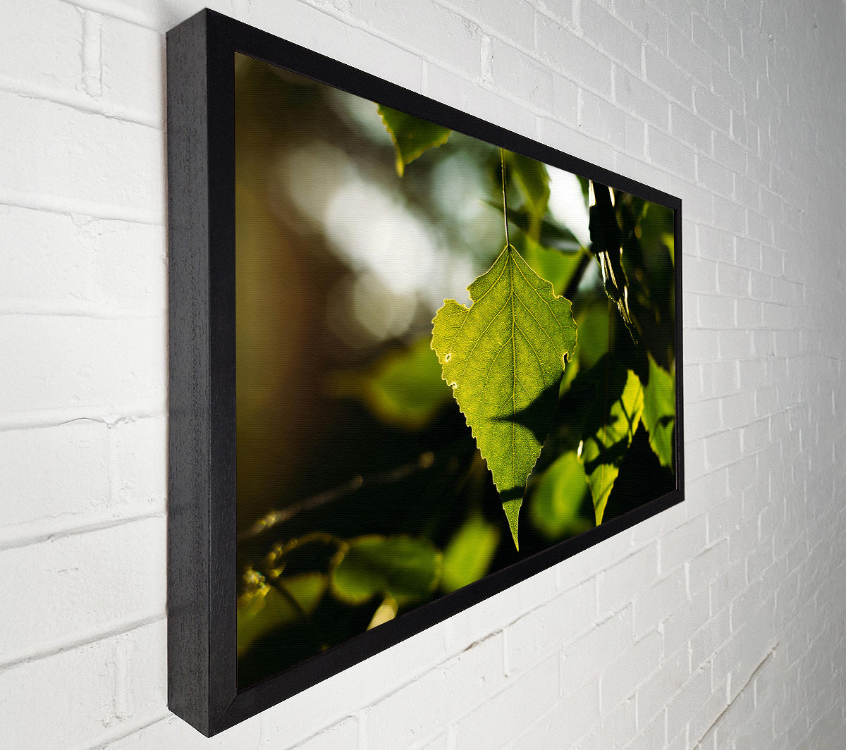 Sunlight Through Green Leaf Canvas Wall Art