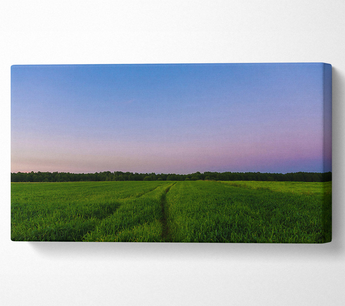 Purple Sky Field Path Canvas Wall Art