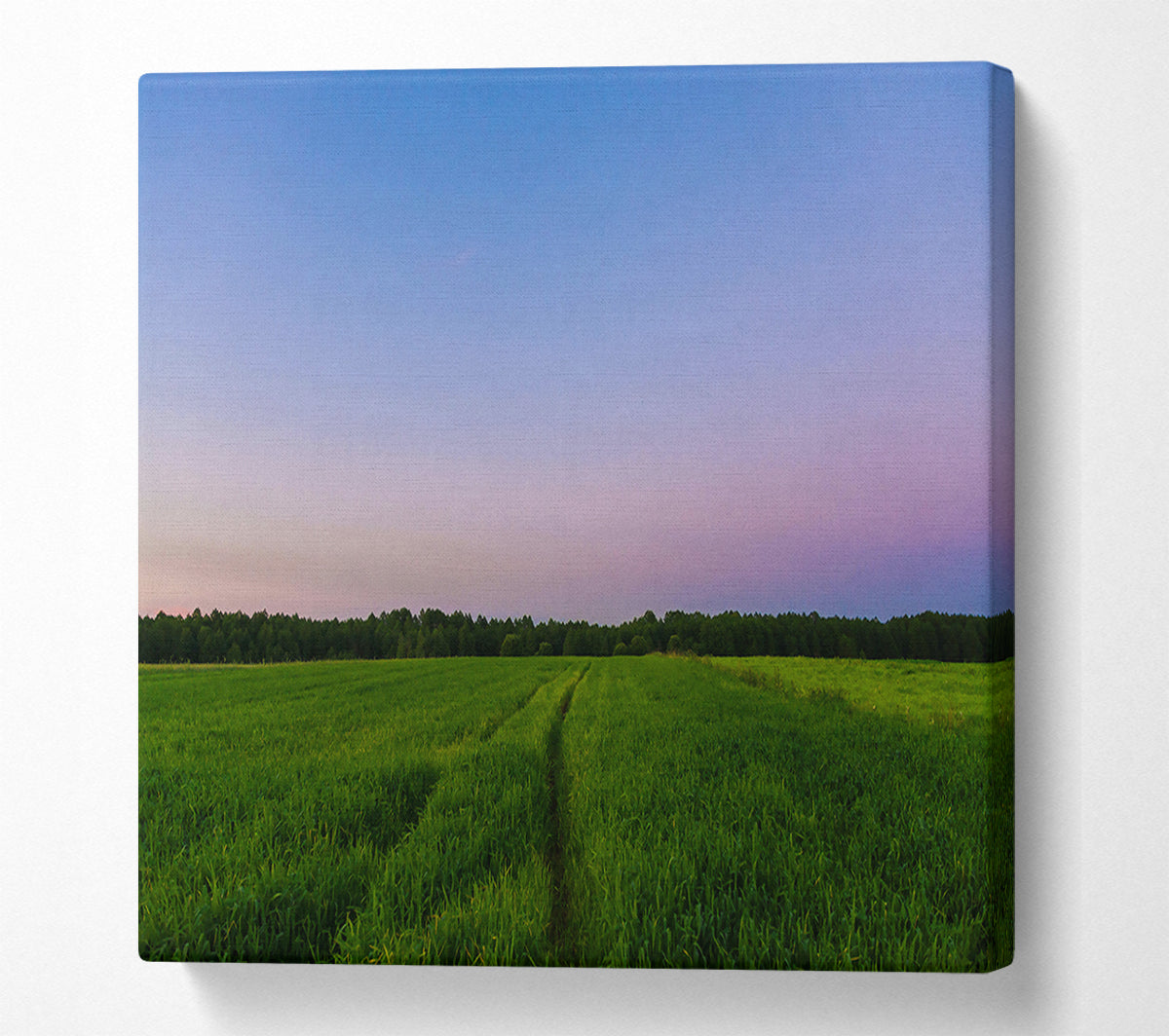 Purple Sky Field Path Canvas Wall Art