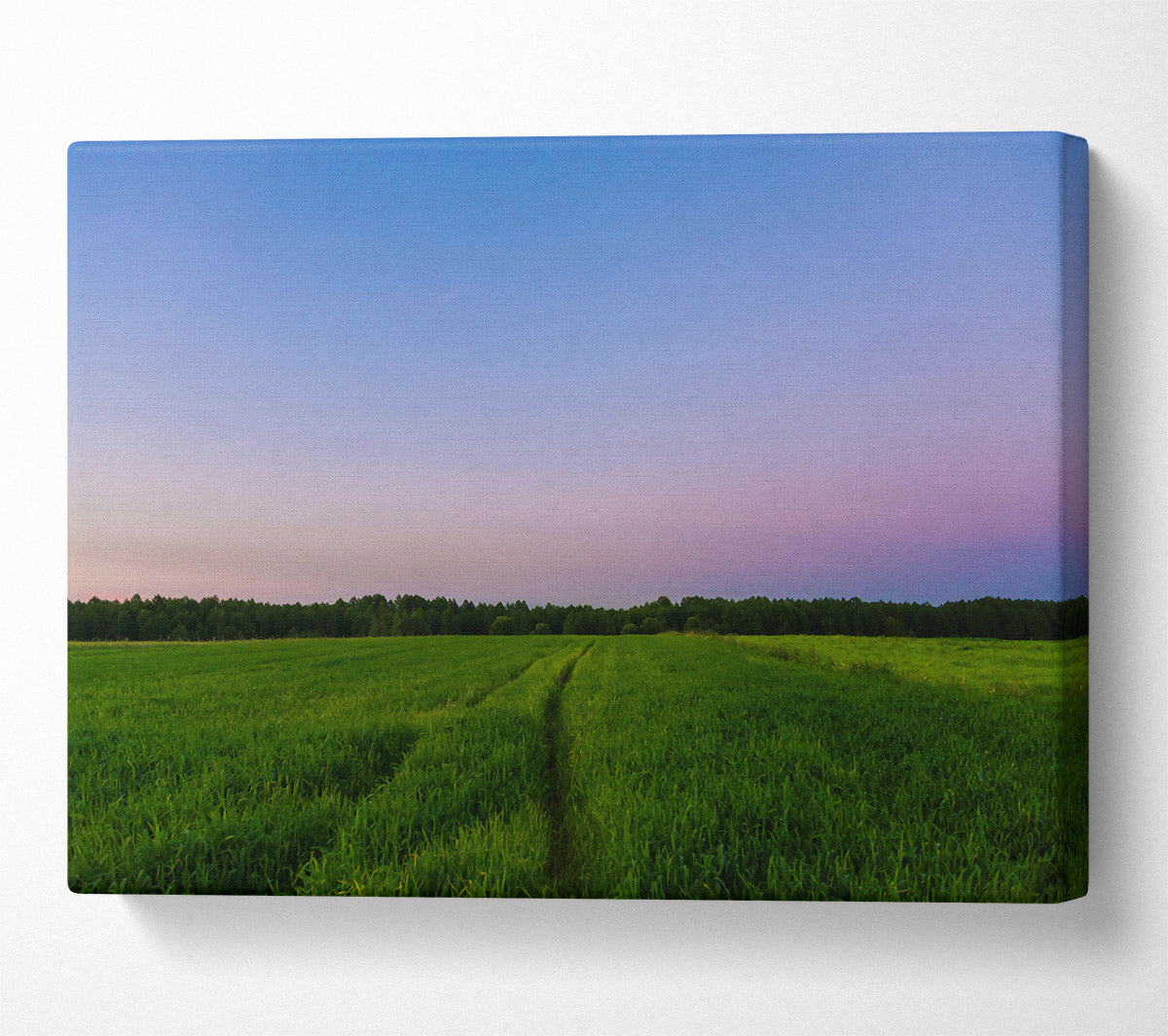 Purple Sky Field Path Canvas Wall Art