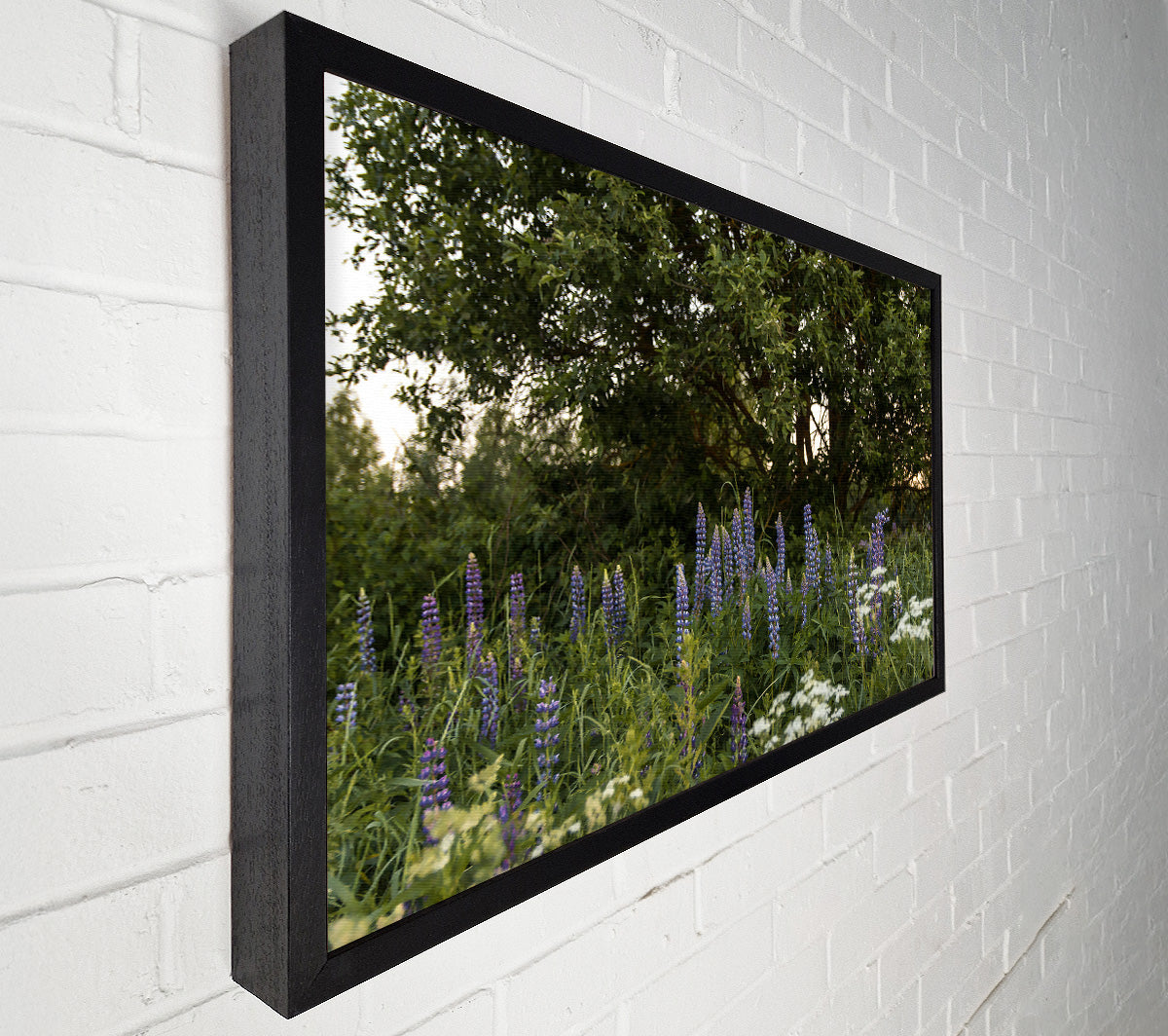 Purple Bloom Underneath Green Canvas Wall Art