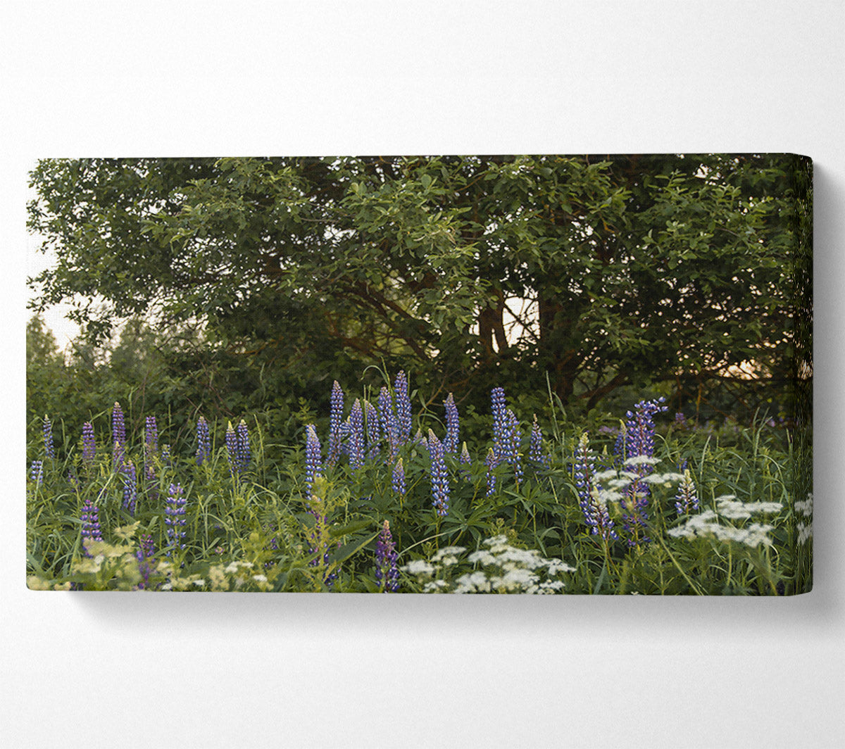 Purple Bloom Underneath Green Canvas Wall Art