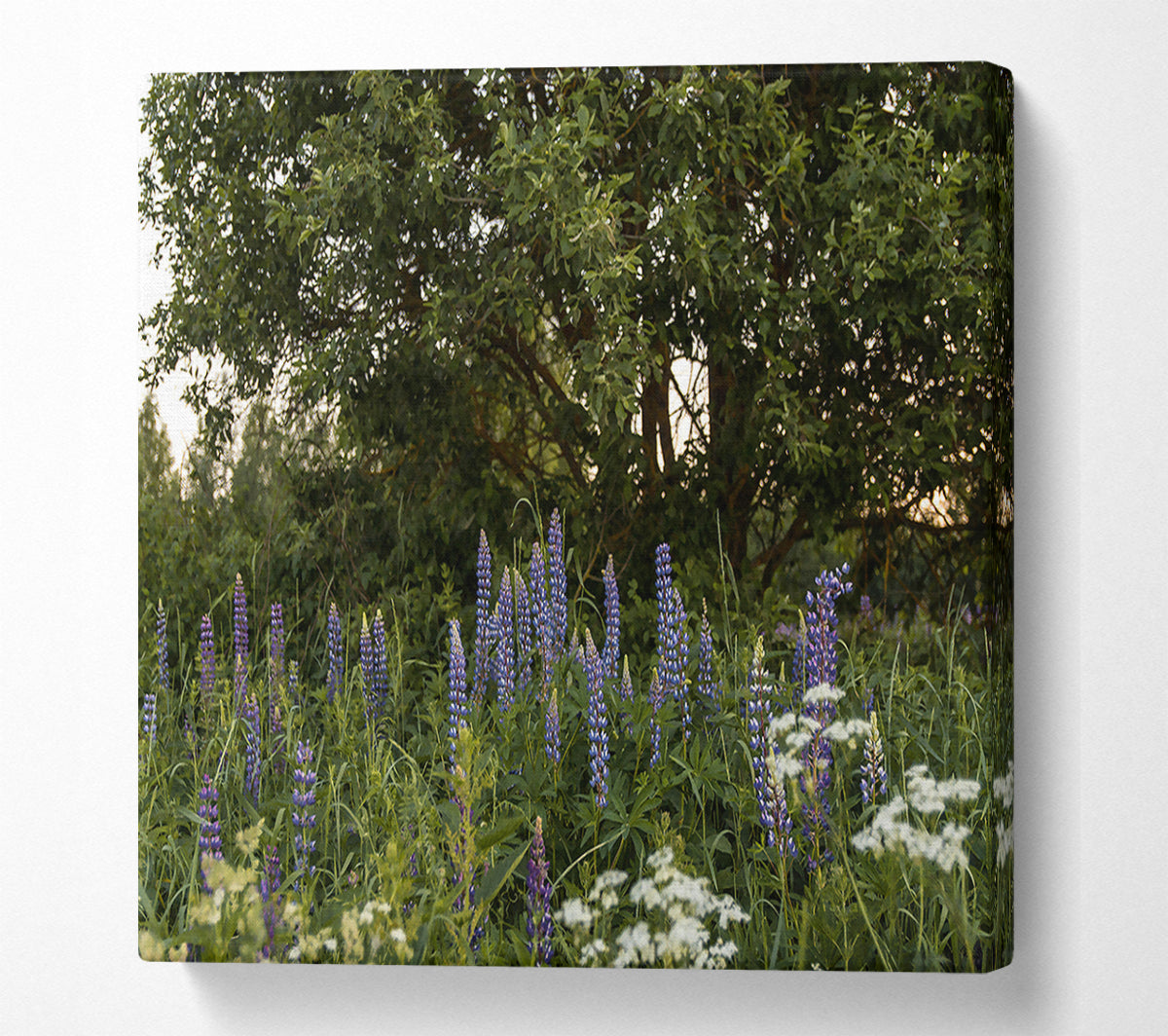 Purple Bloom Underneath Green Canvas Wall Art