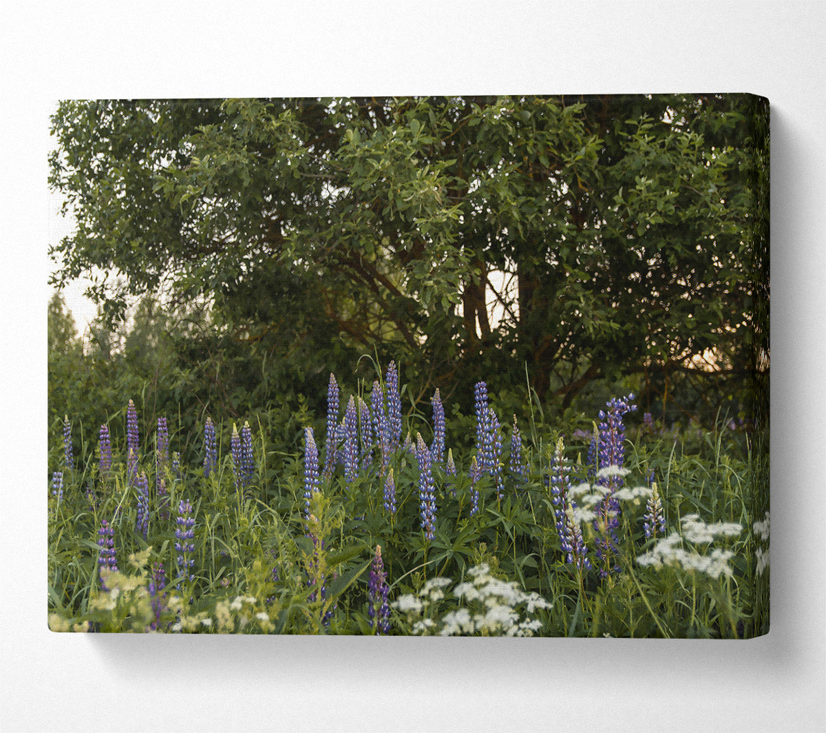 Purple Bloom Underneath Green Canvas Wall Art