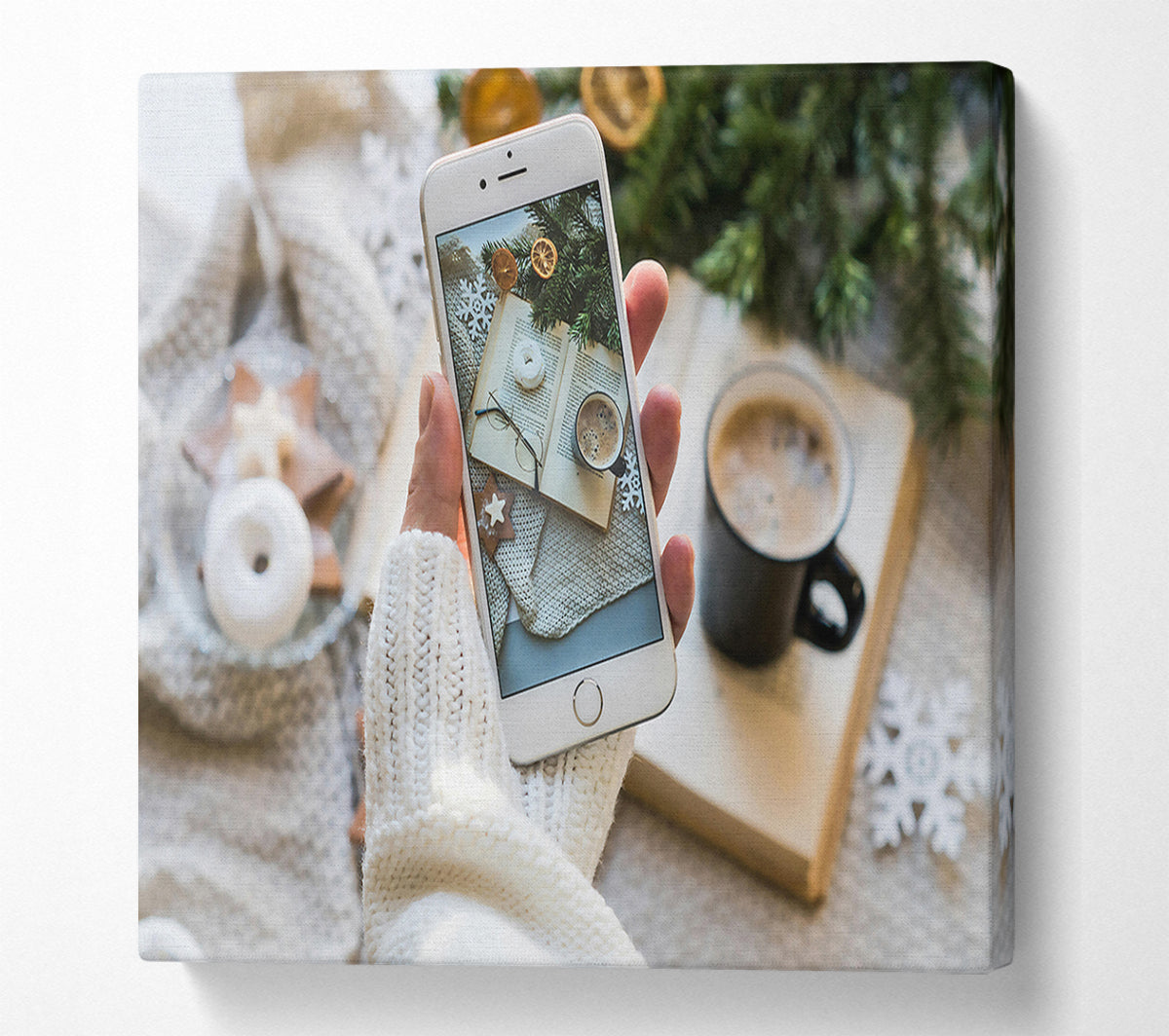 White Winter Capture Canvas Wall Art