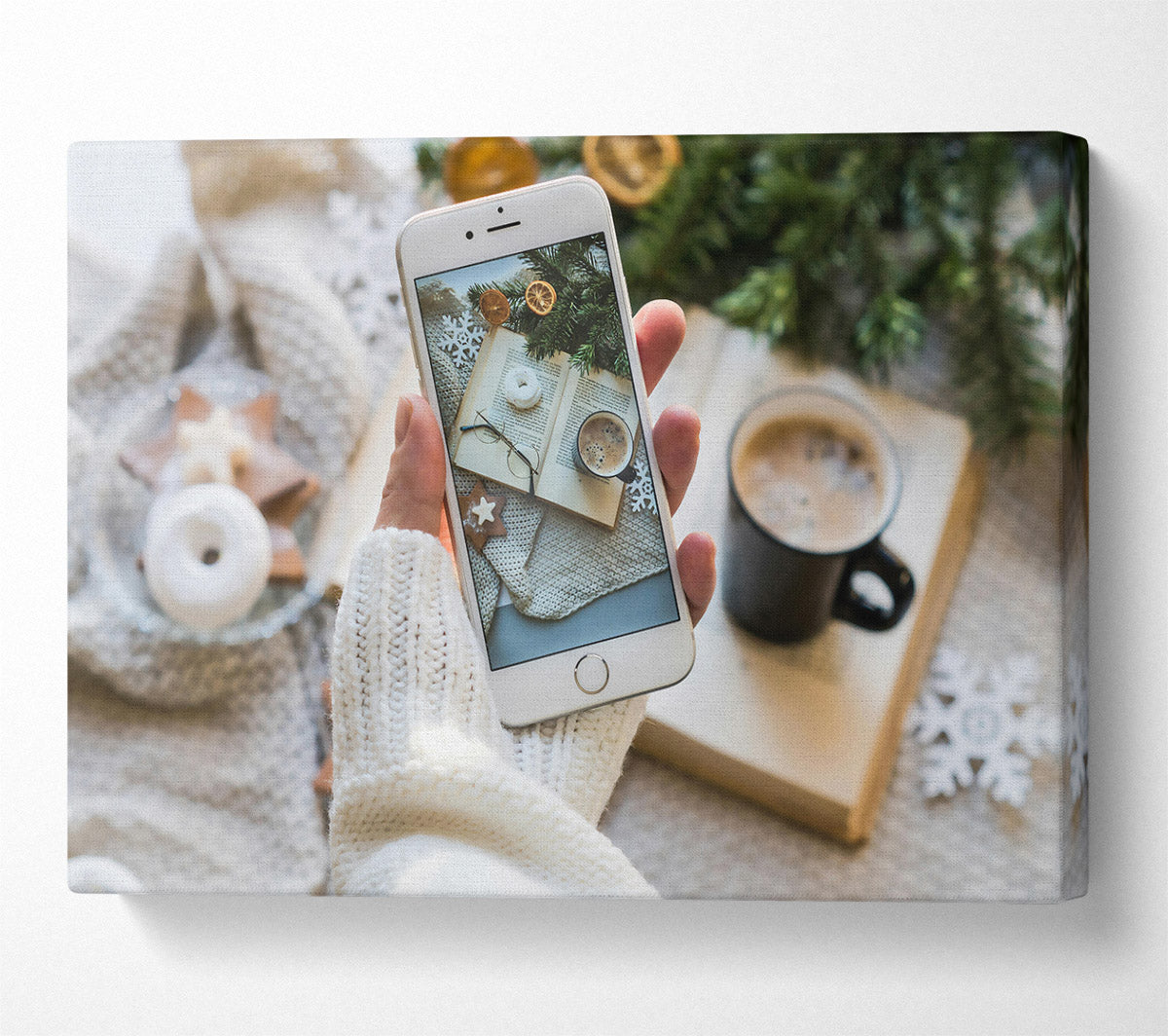 White Winter Capture Canvas Wall Art