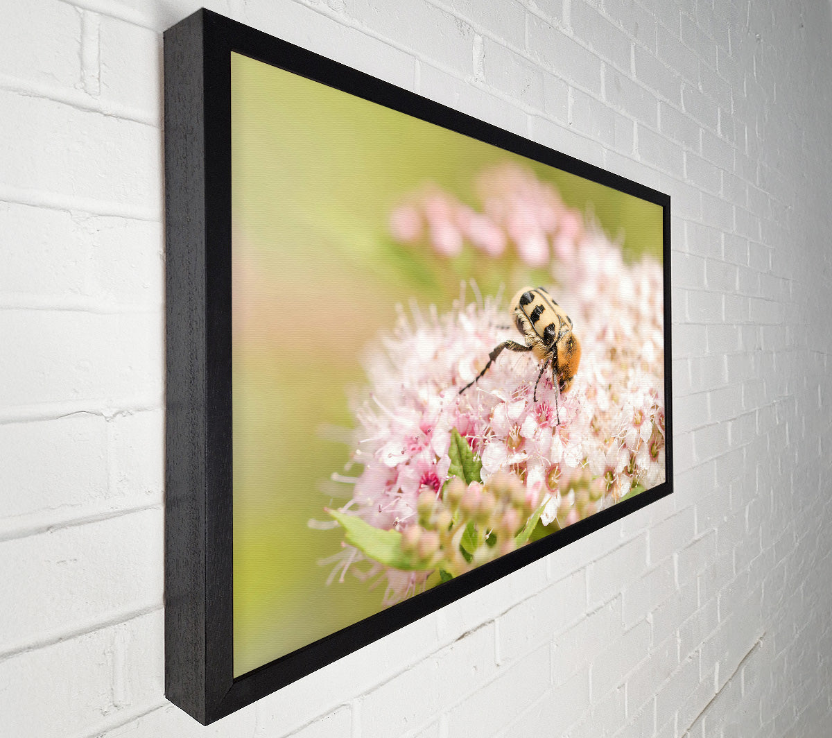 Pink & Yellow Bloom Canvas Wall Art