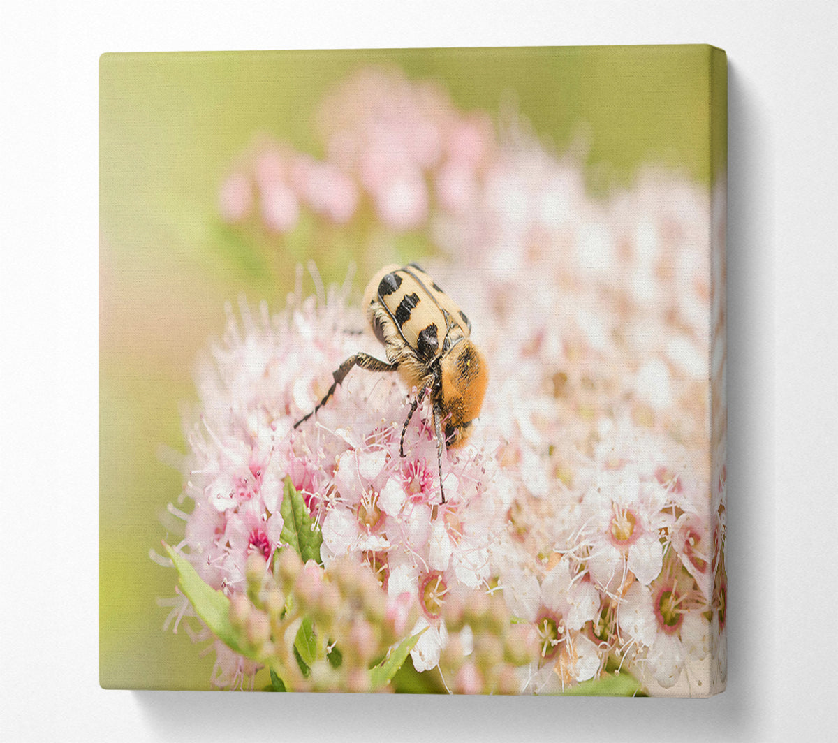 Pink & Yellow Bloom Canvas Wall Art