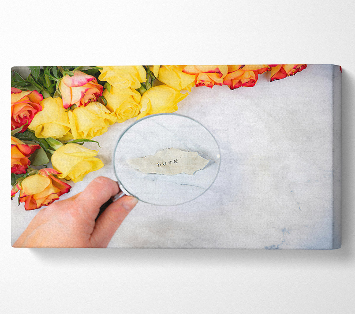 Yellow Rose Love Canvas Wall Art