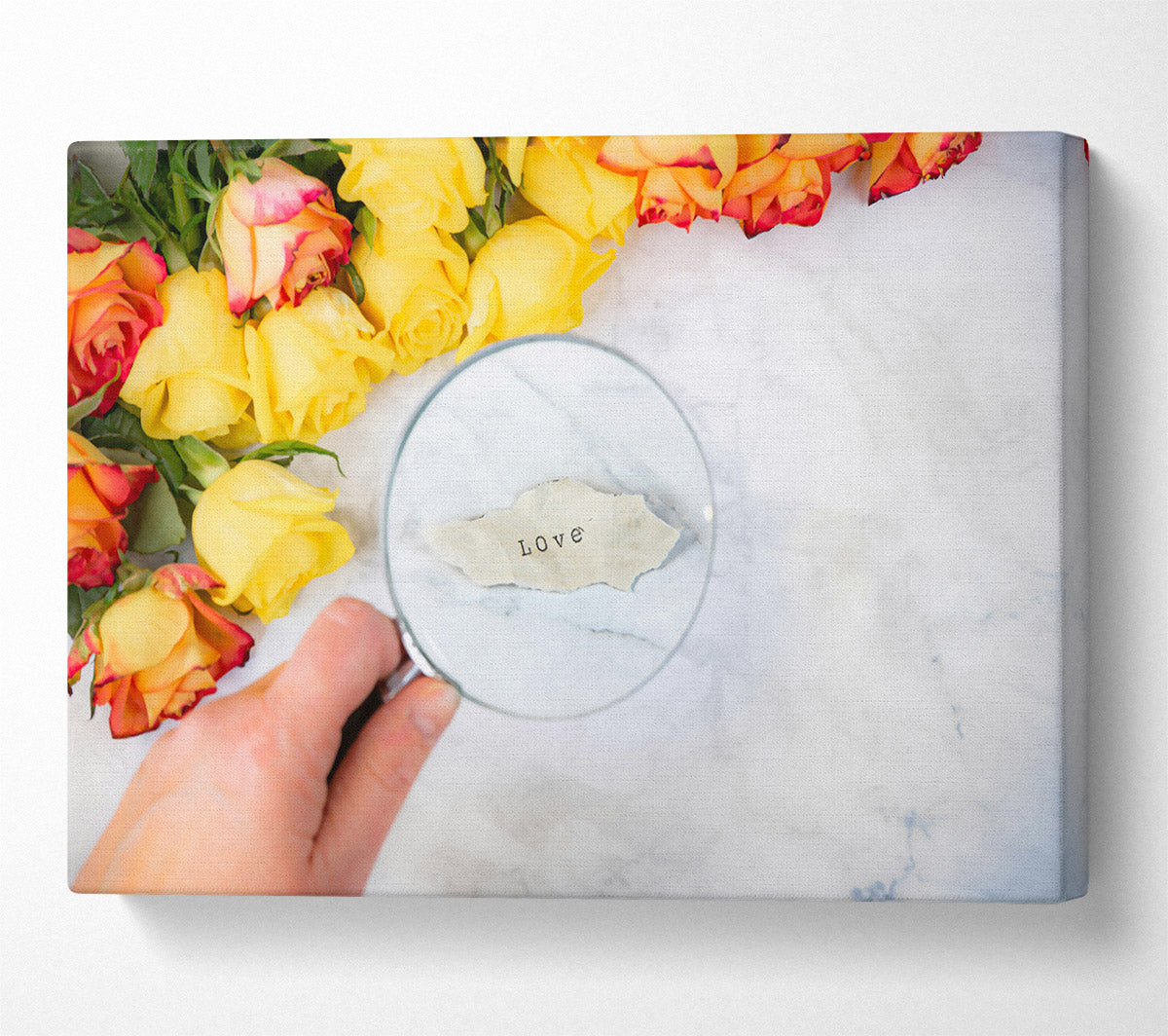 Yellow Rose Love Canvas Wall Art