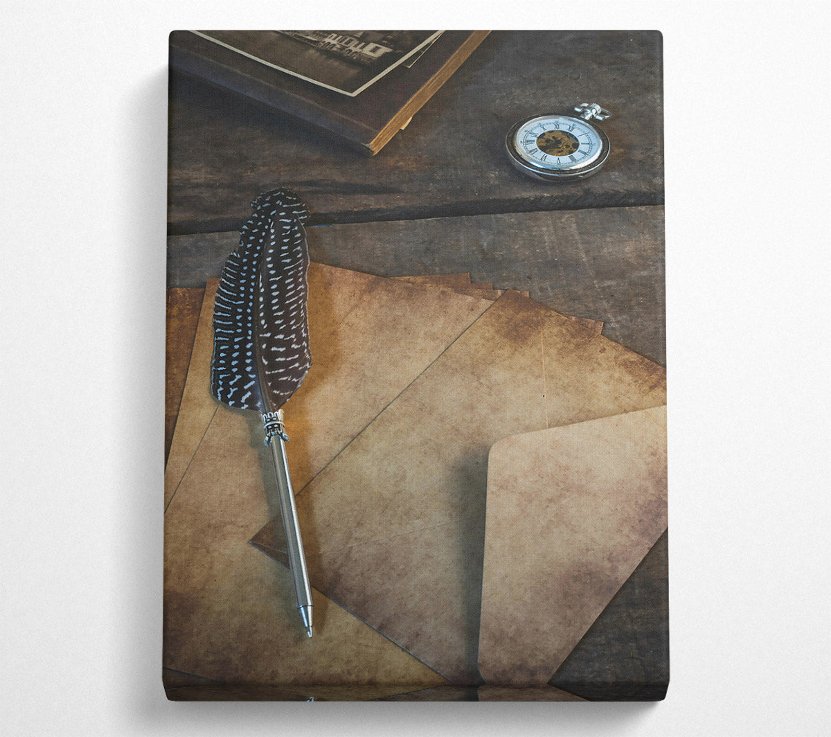 Tanned Feather And Time Canvas Wall Art