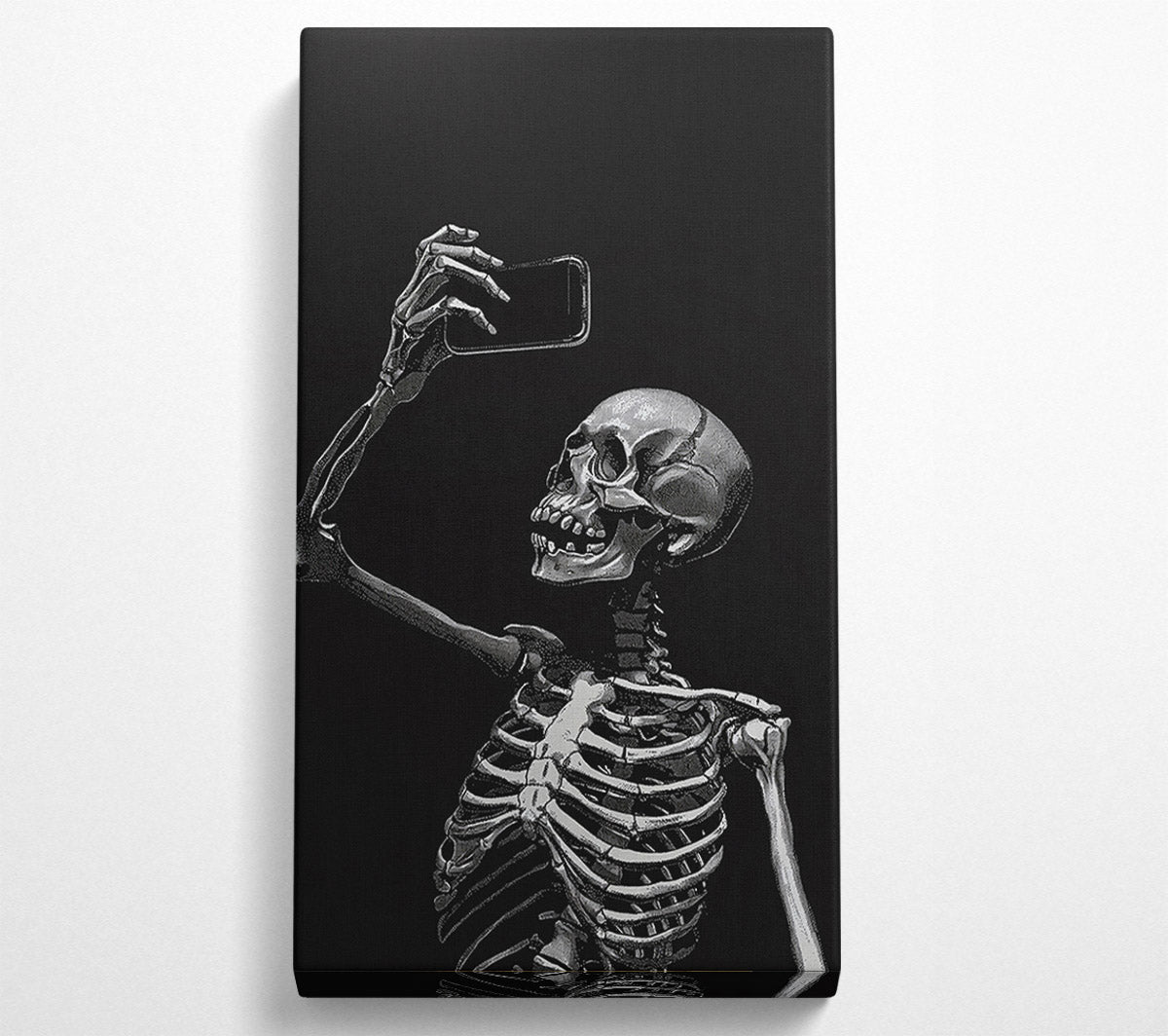 Skeleton Selfie Canvas Wall Art