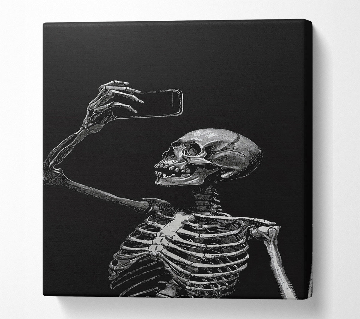 Skeleton Selfie Canvas Wall Art
