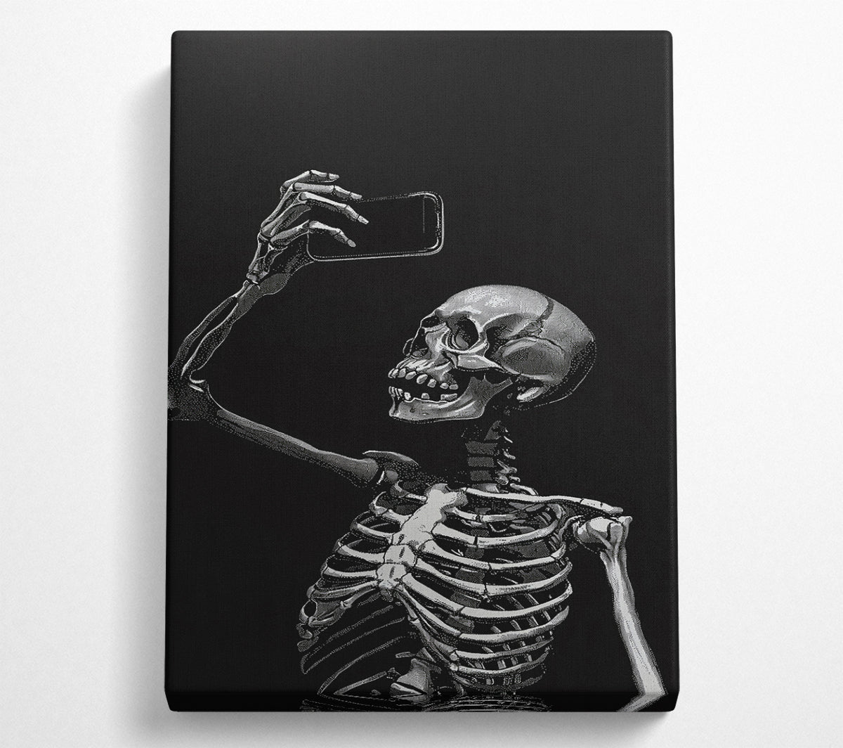 Skeleton Selfie Canvas Wall Art