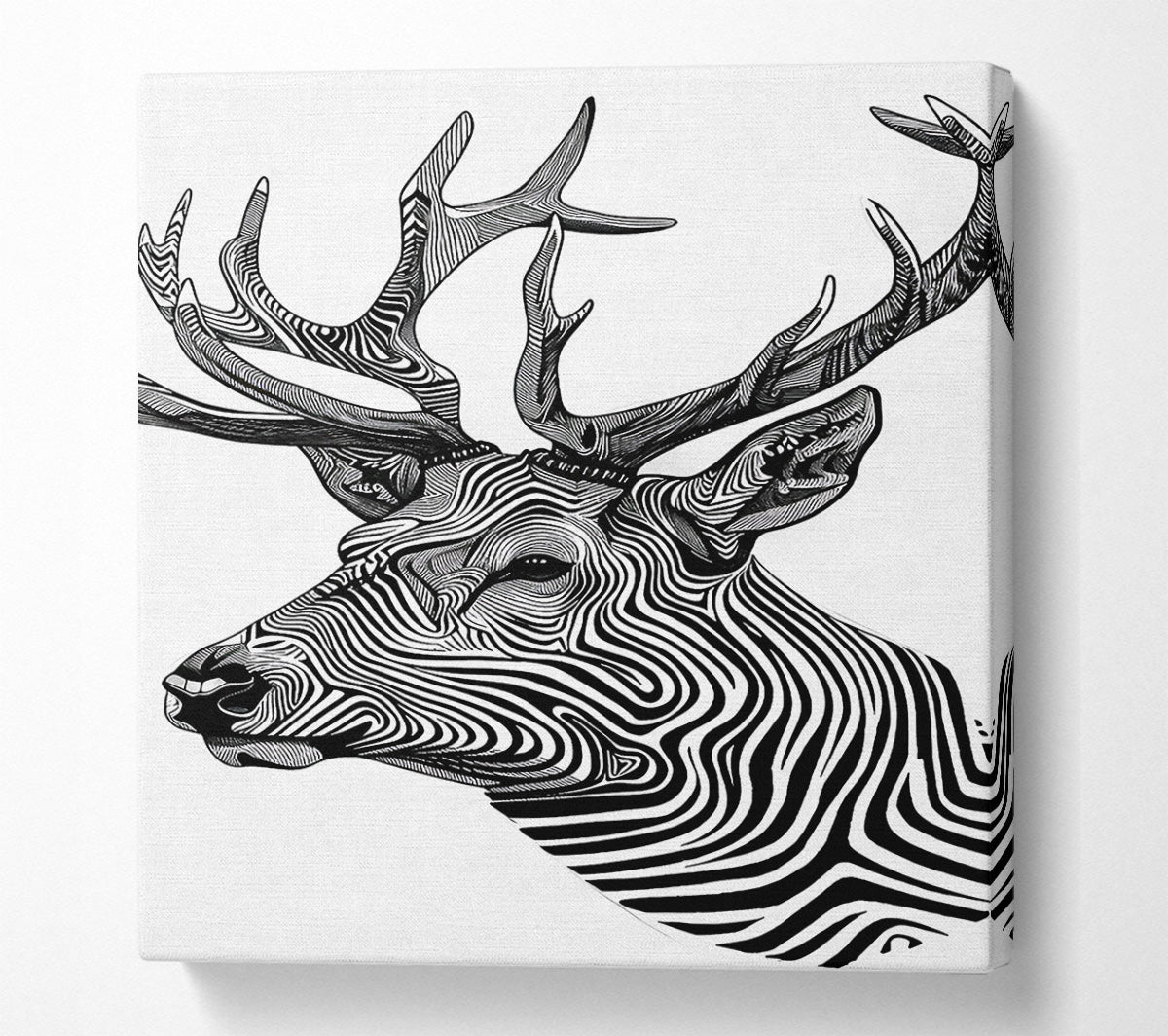 Stag Zebra Stripes Canvas Wall Art