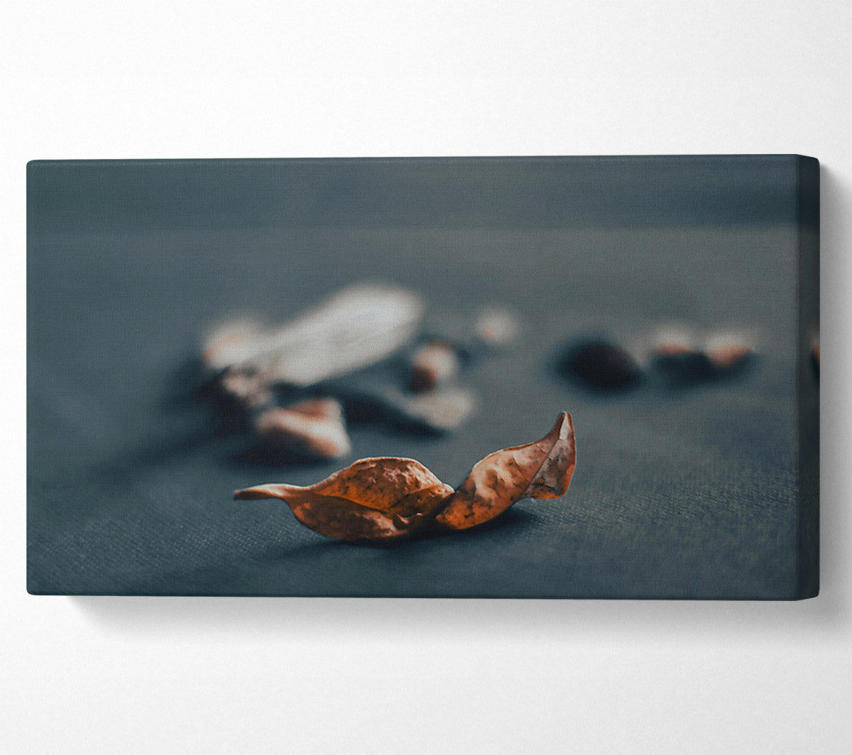 Rust-Colored Leaf Fall Canvas Wall Art