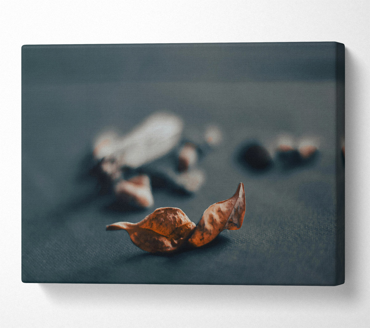 Rust-Colored Leaf Fall Canvas Wall Art