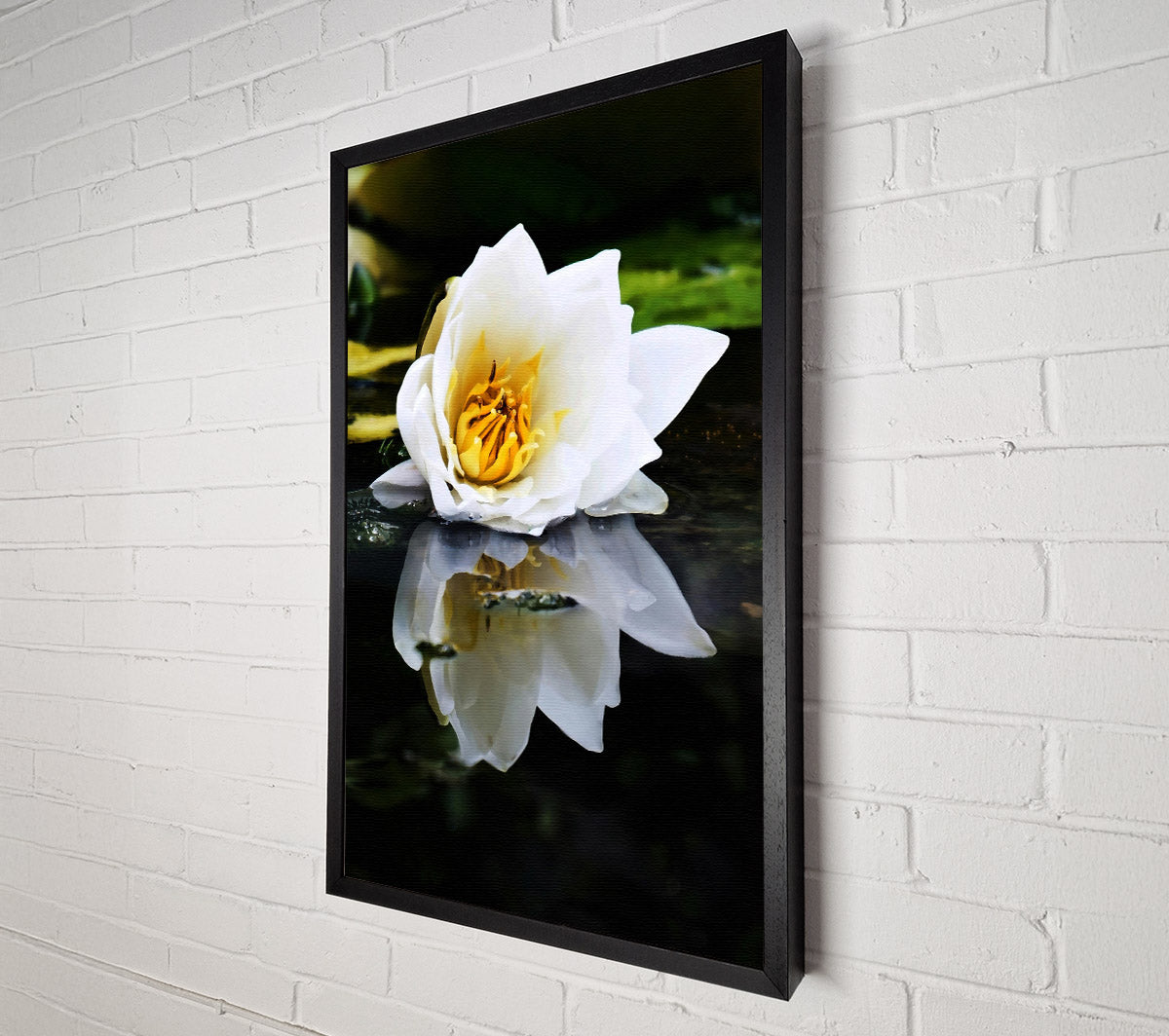 White Water Lily Reflection Canvas Wall Art