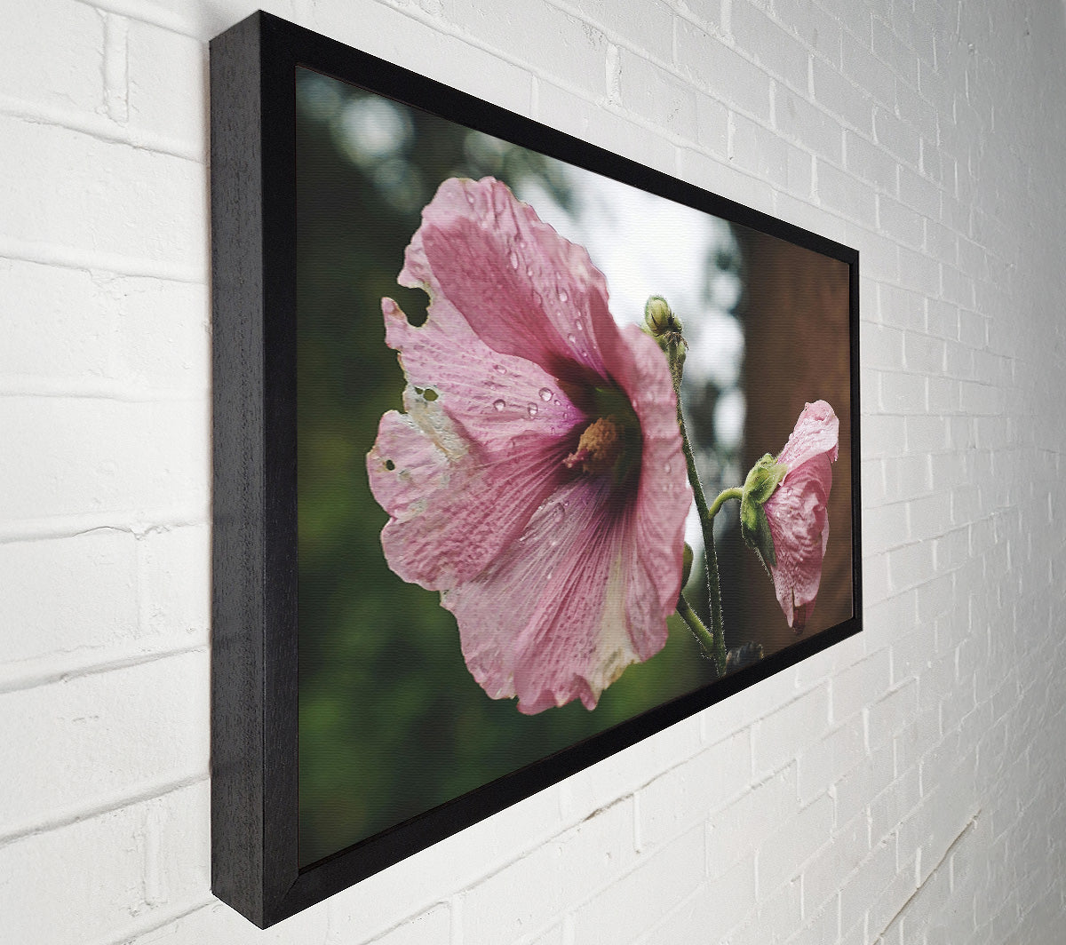 Pink Flower Droplets Canvas Wall Art